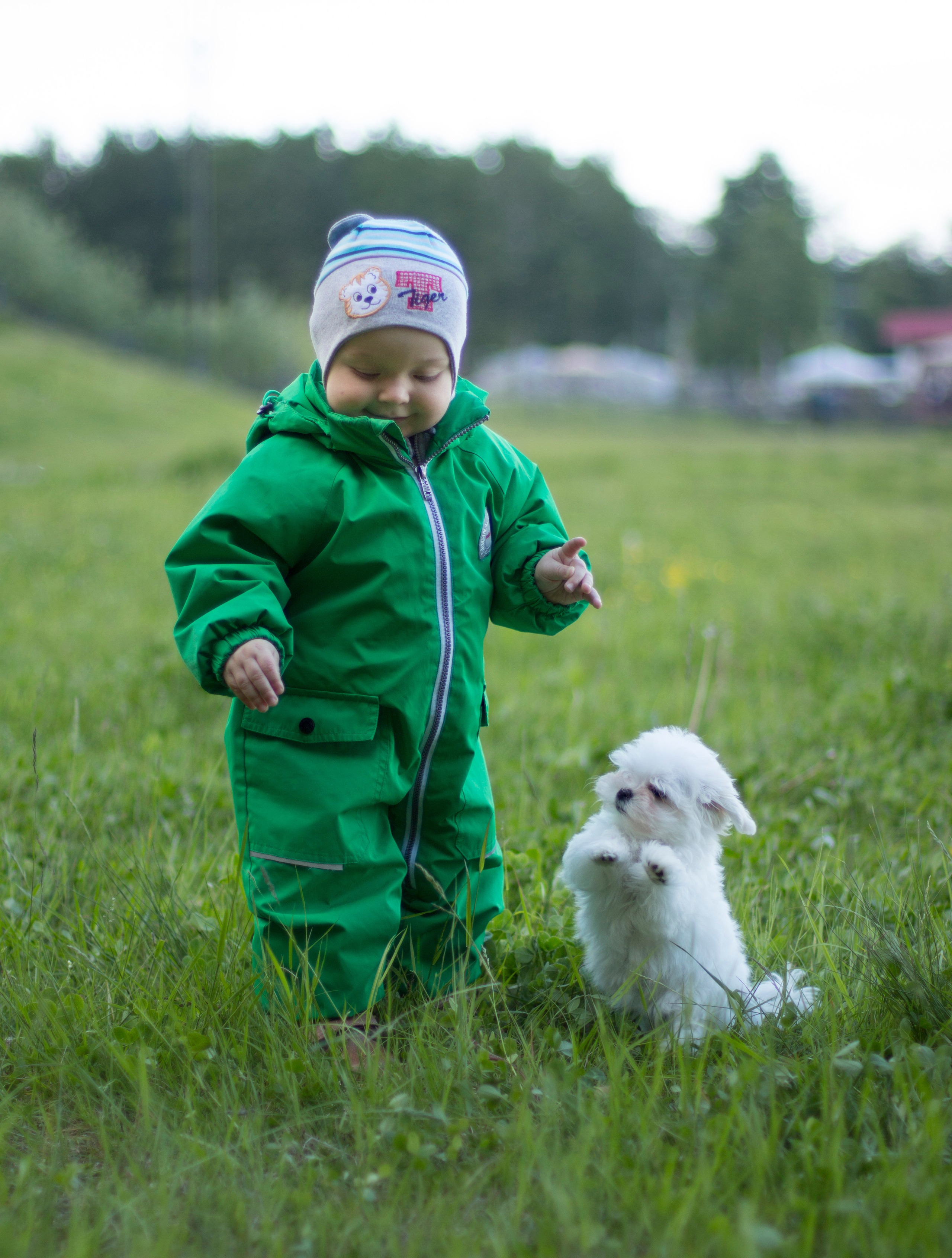 Съёмка с животными. Детский и семейный фотограф Северодвинск Архангельск Дашинка Слонова