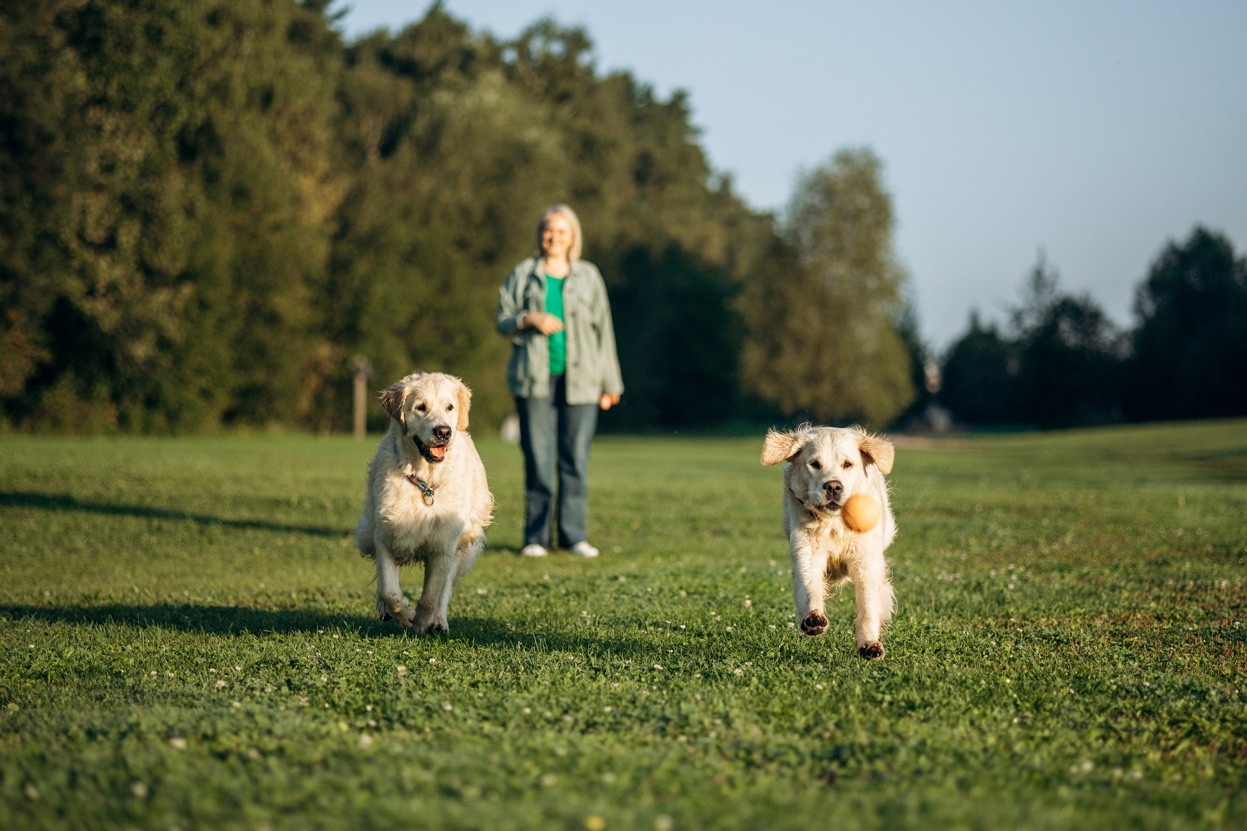 Ирина и ее золотинки. Фотограф — Анималист | Санкт-Петербург