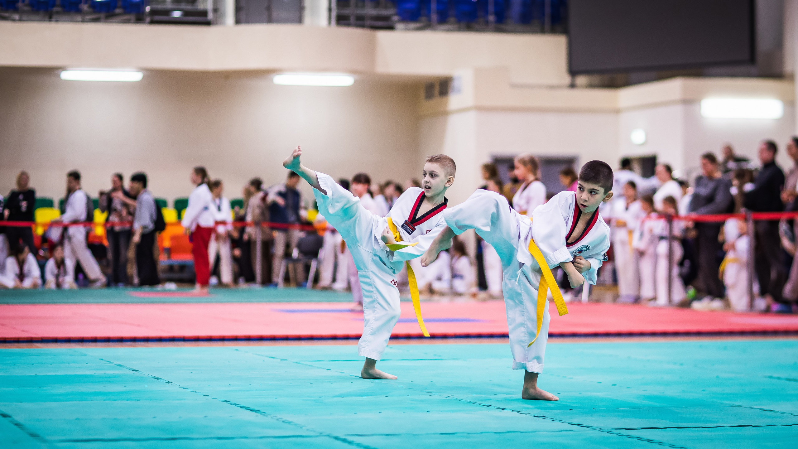Турнир Федерации детского тхэквондо России по дисциплине ПХУМСЭ. Спортивный фотограф Максим Серегин