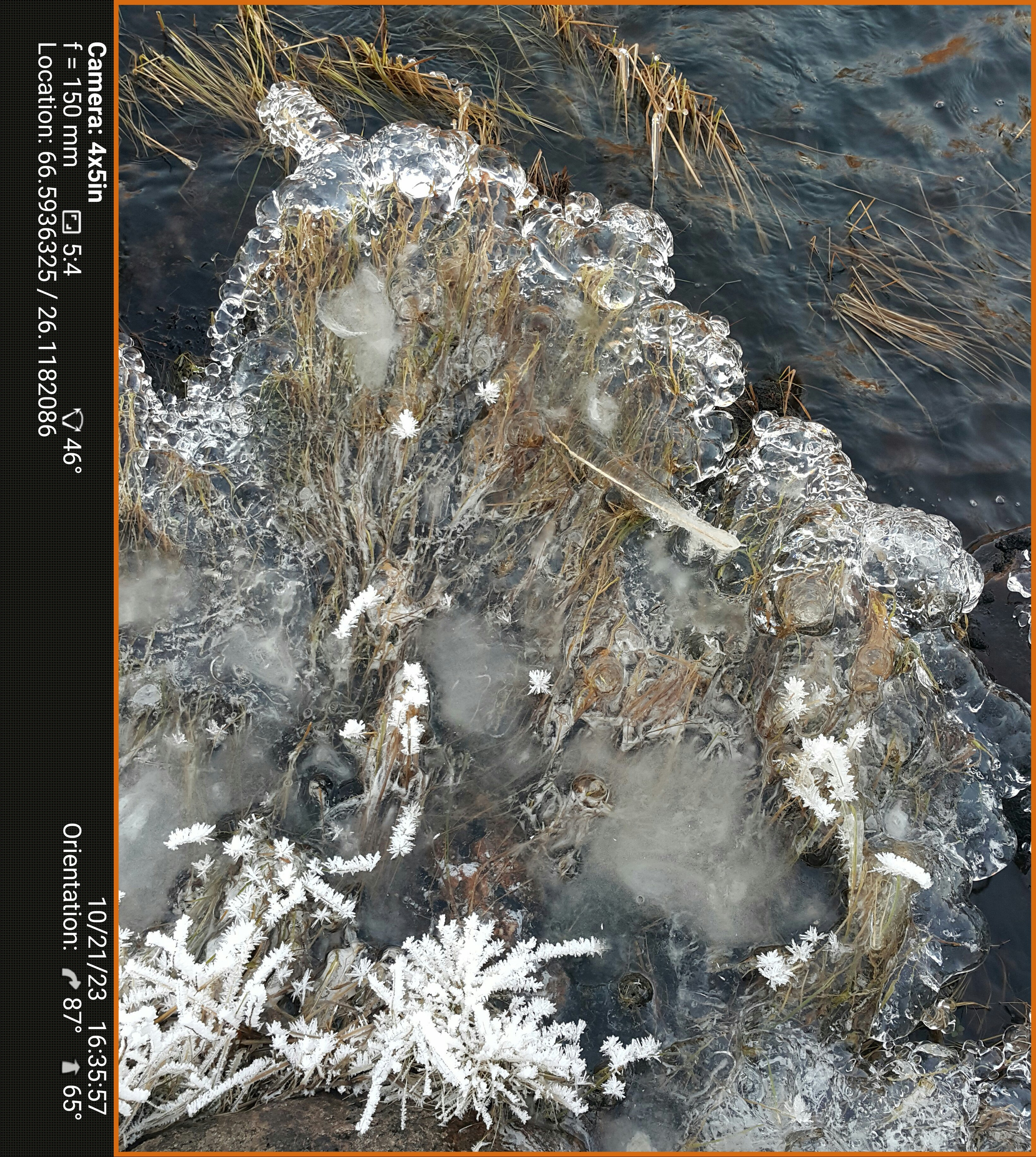 Könkäänsaari. Северные Ночи