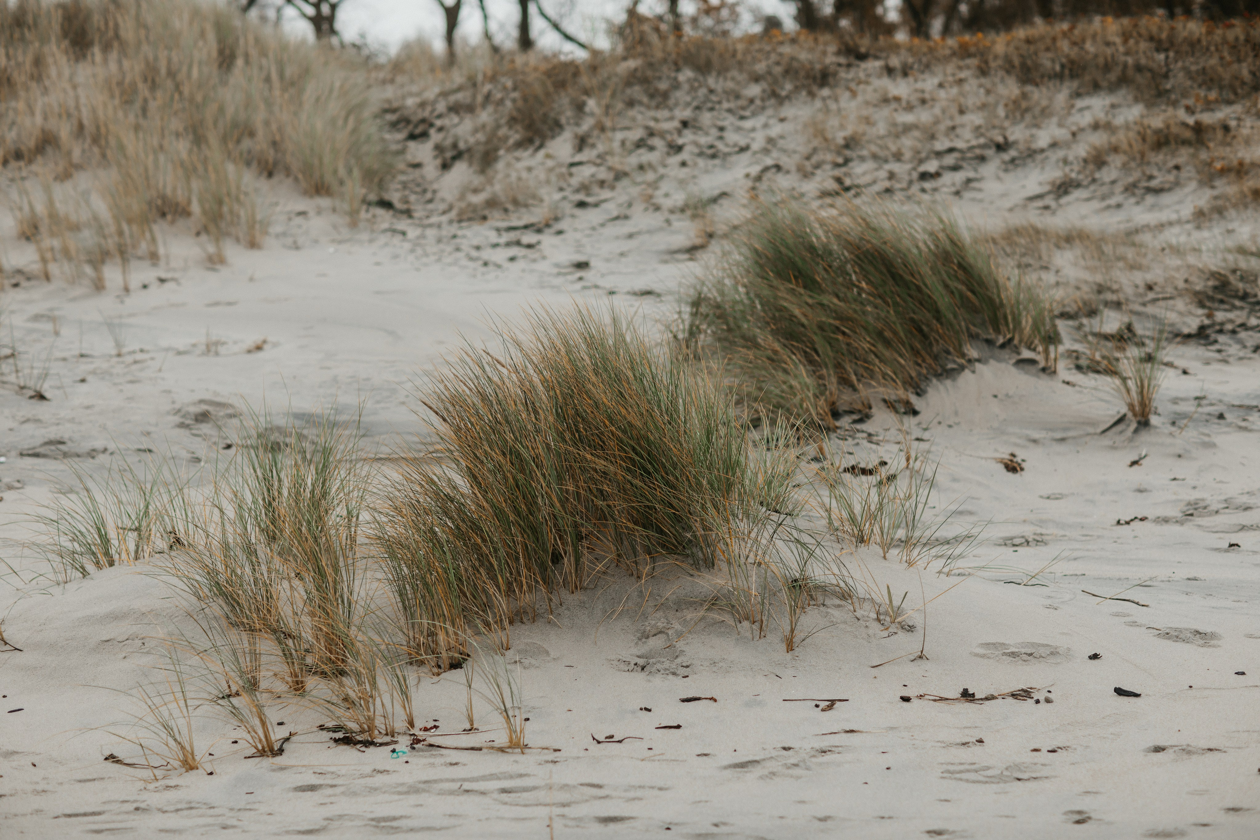 Балтийск/Калининград. Свадебный и семейный фотограф/видеограф в Краснодаре Наталья Осинская
