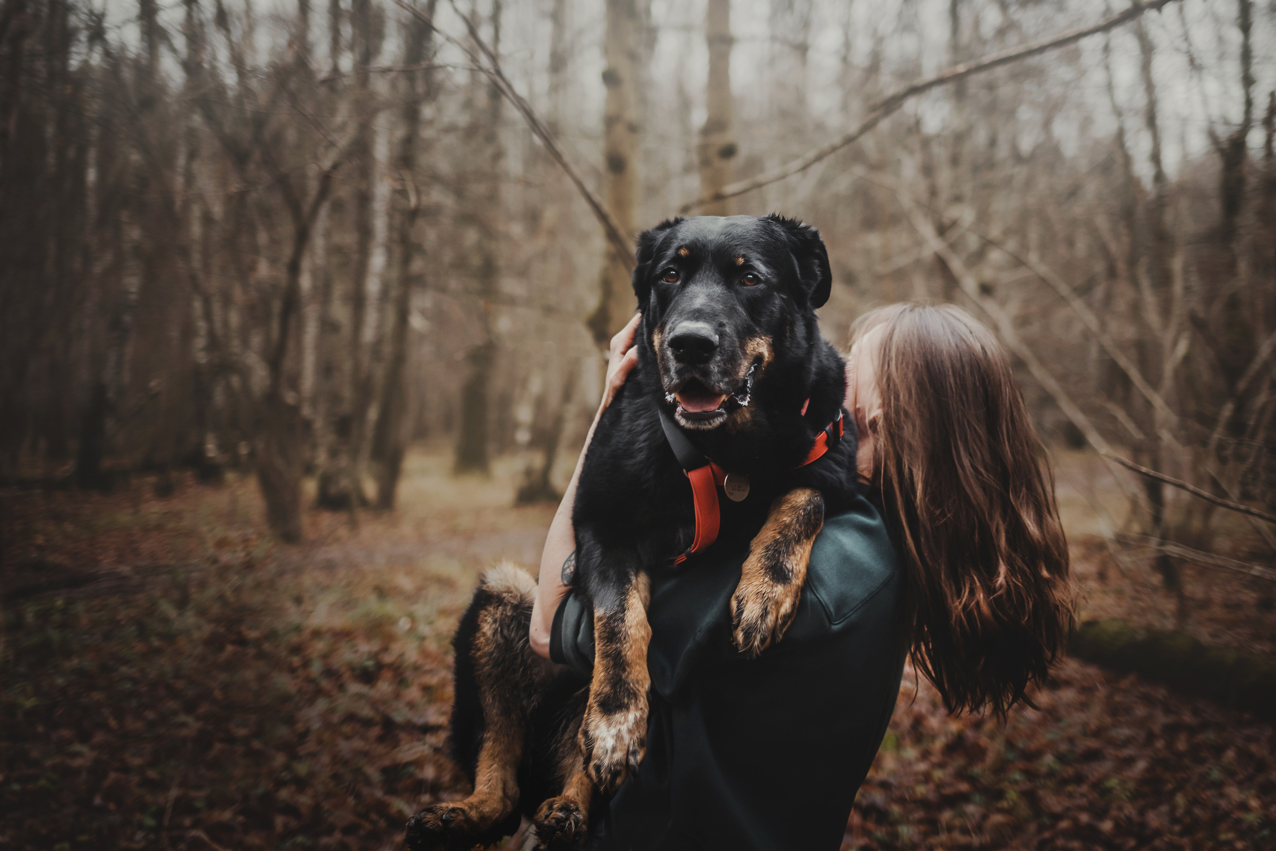 Фотосессия с собакой Фелик