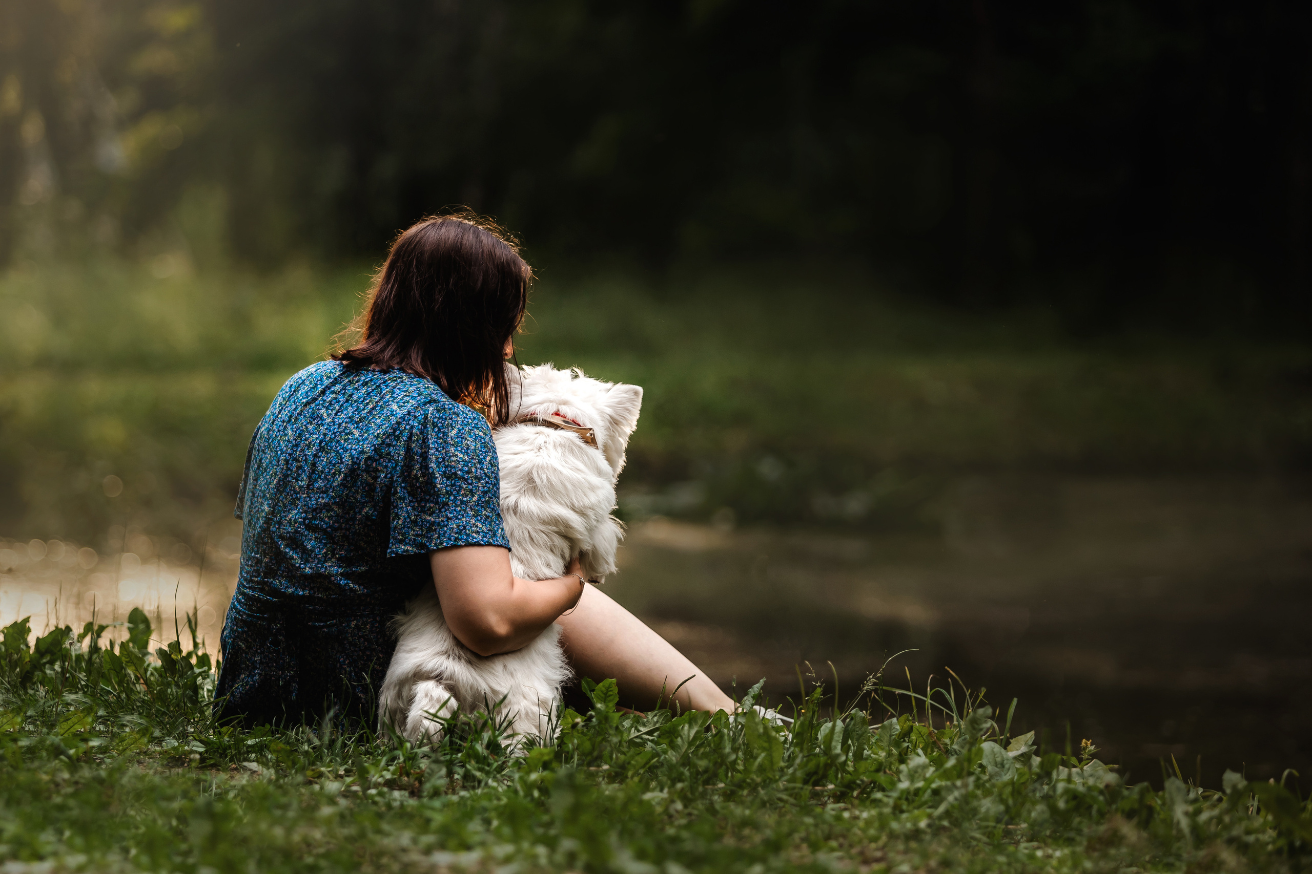 Перся и его семья в Ботаническом лесу