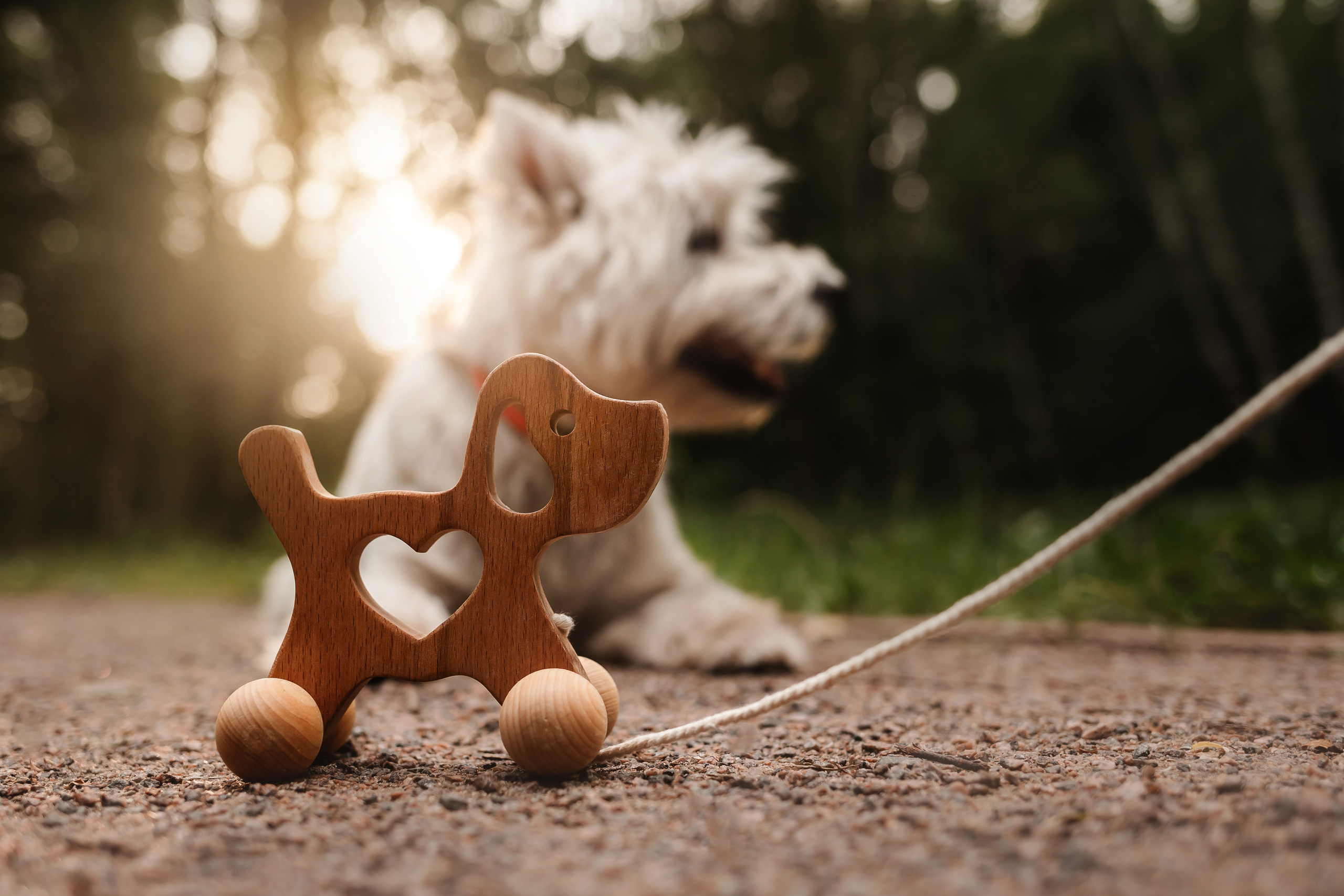 Перся и его семья в Ботаническом лесу