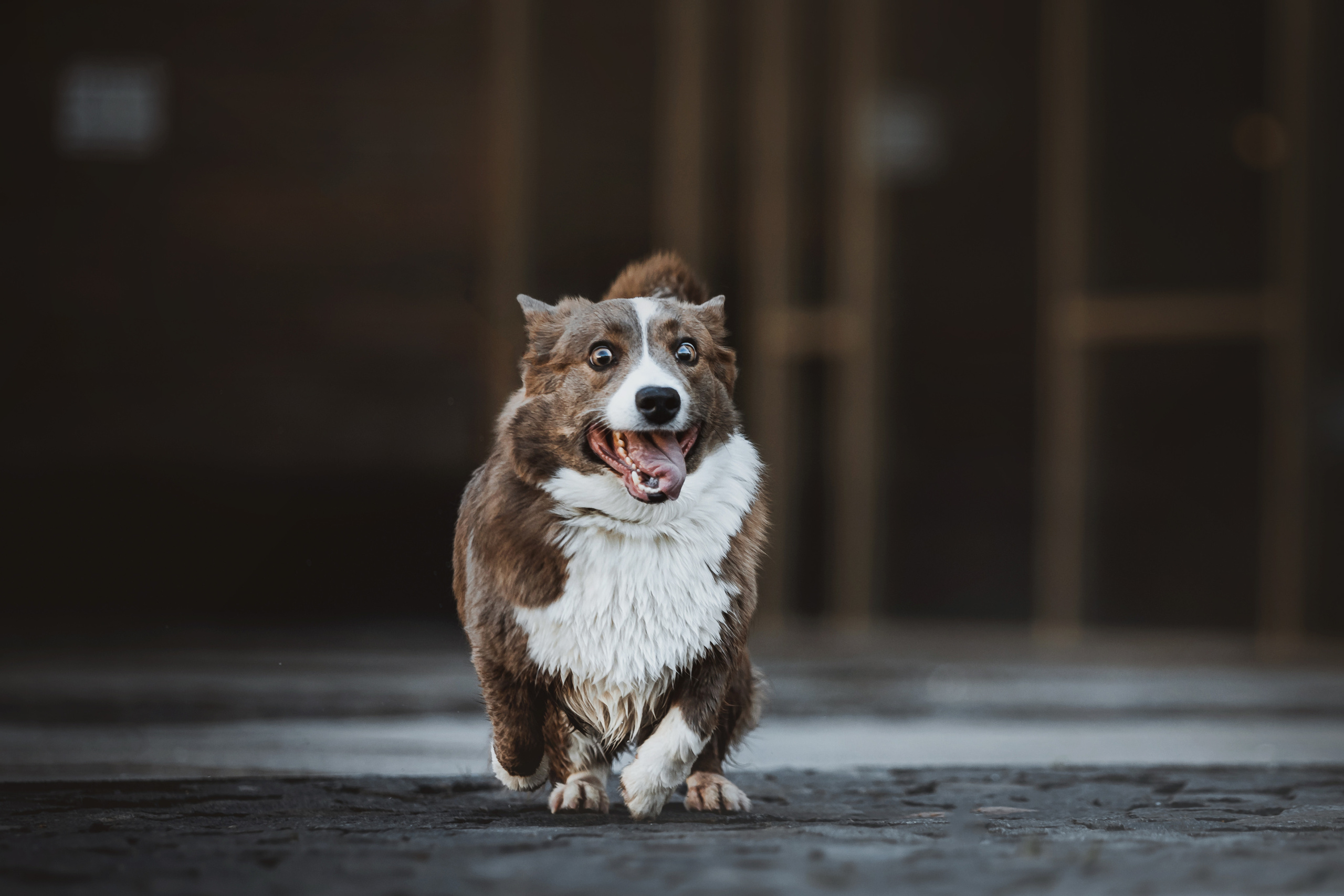 Кристина и Лулуди