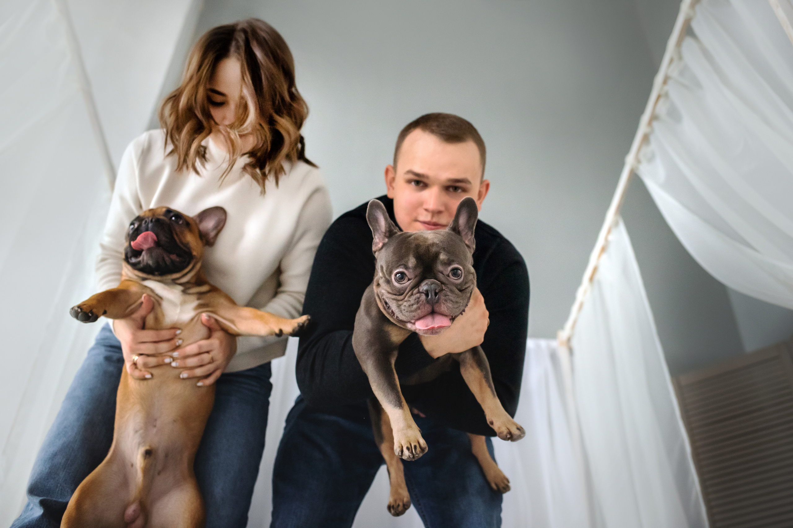 Фотосессия бульдогов Лео и Марса в догфрендли студии