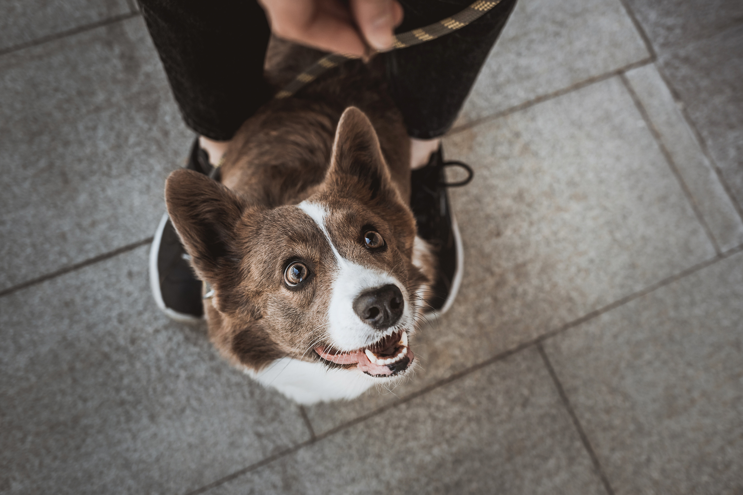 Кристина и Лулуди