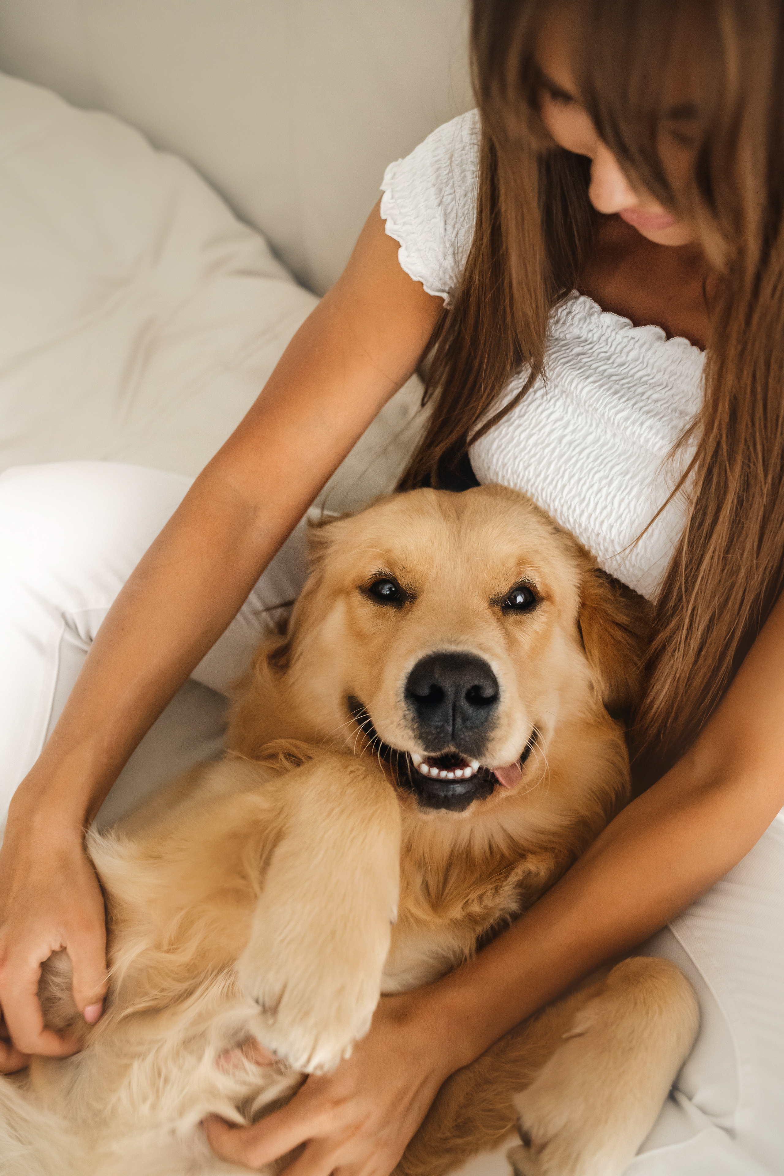Фотосессия с щенком золотистого ретривера