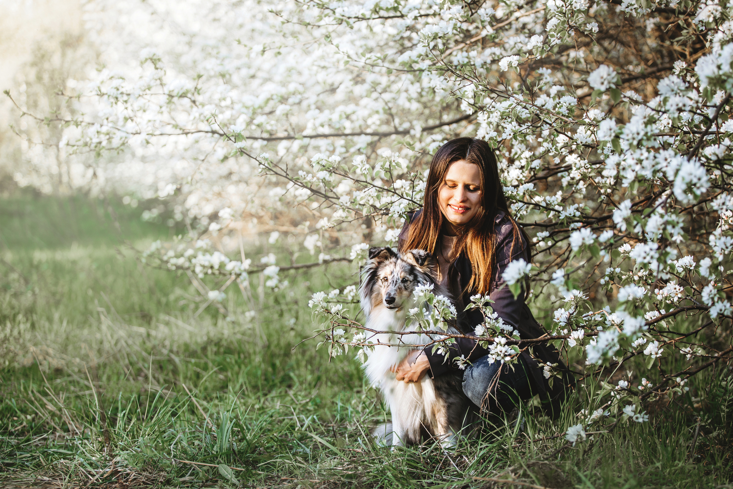 Фотосессия с шелти Скаем