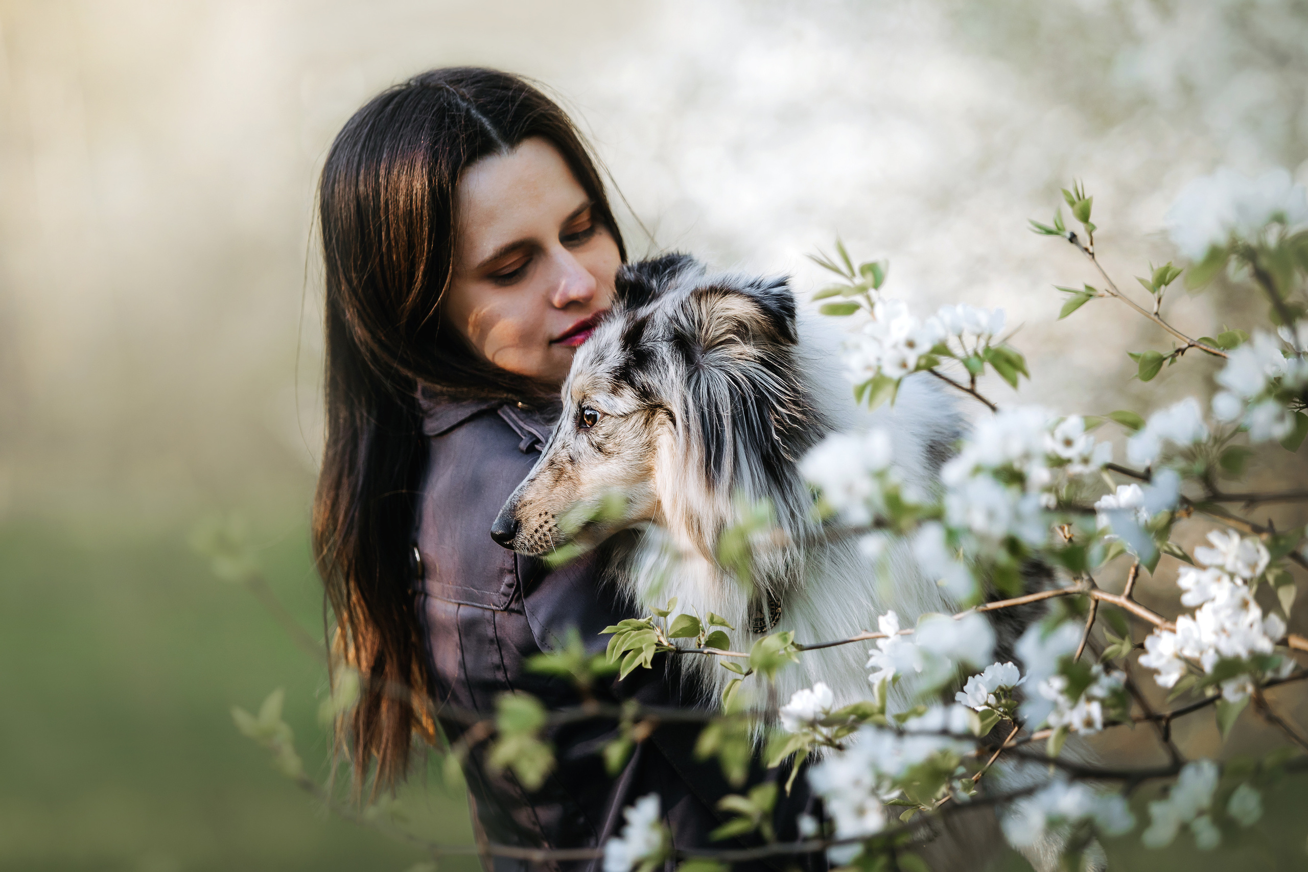 Фотосессия с шелти Скаем