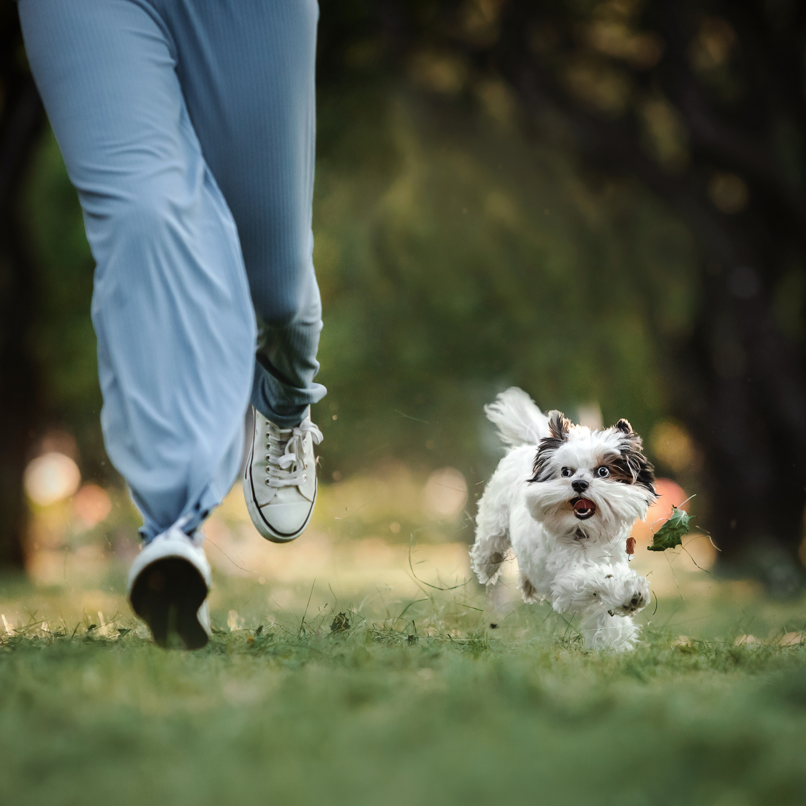 Фотосессия Урсы, Йоши и их семьи