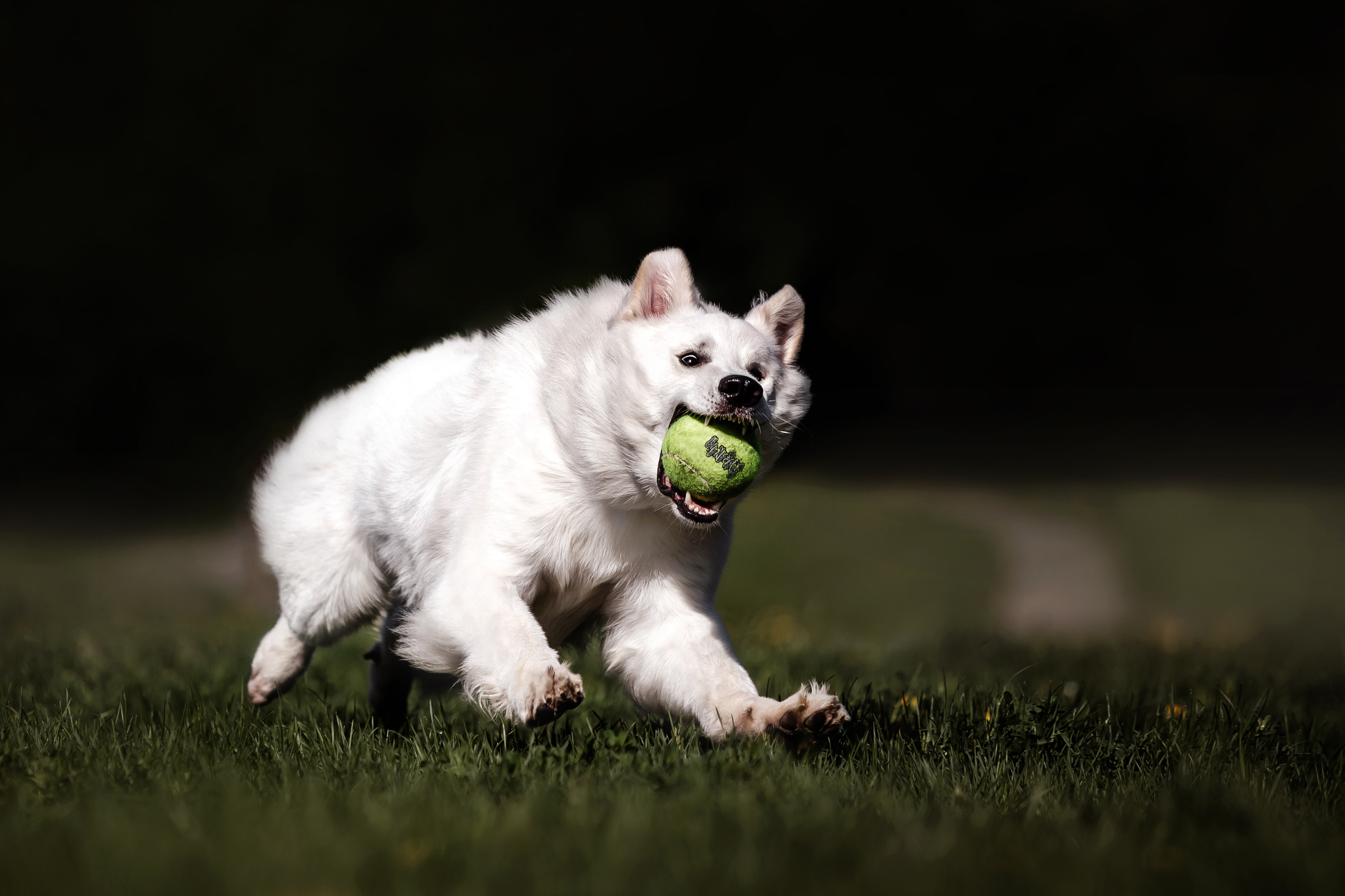 Фотосессия Светы, Юли и Олафа