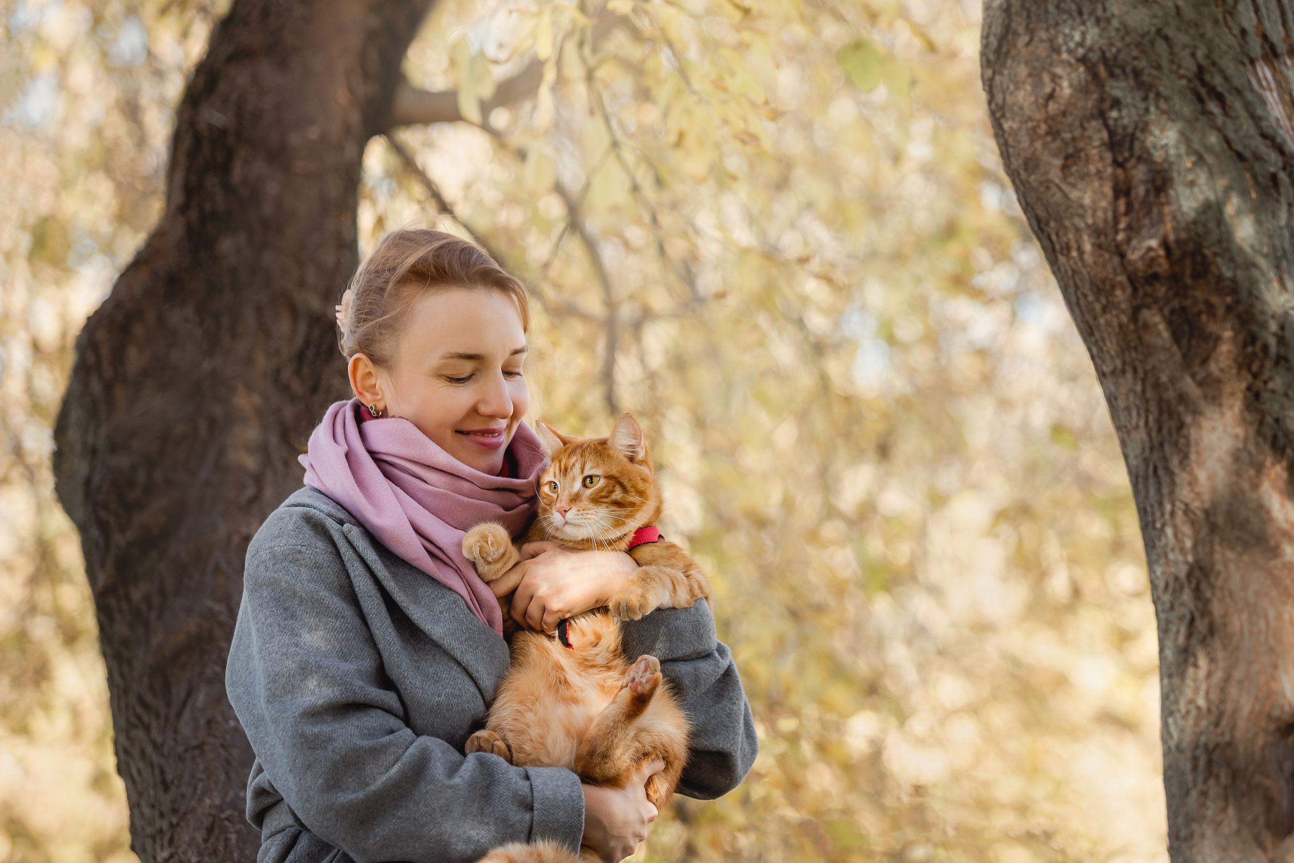 Фотосессия с собакой и котом. Ира, йорк Филя и кот Леброн