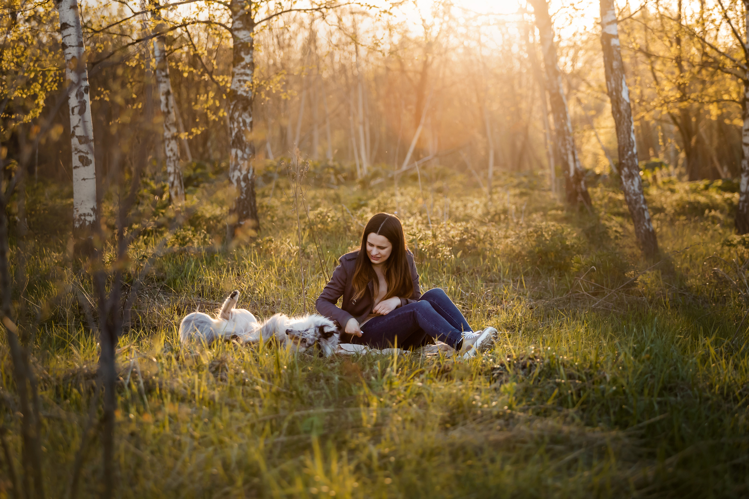 Фотосессия с шелти Скаем