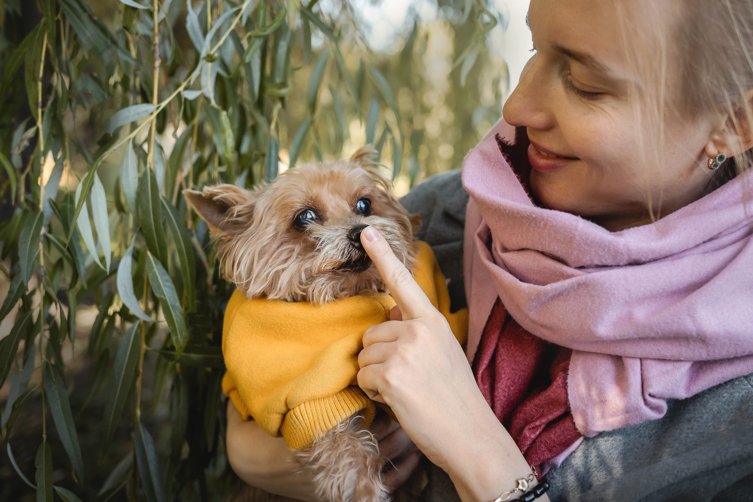 Фотосессия с собакой и котом. Ира, йорк Филя и кот Леброн
