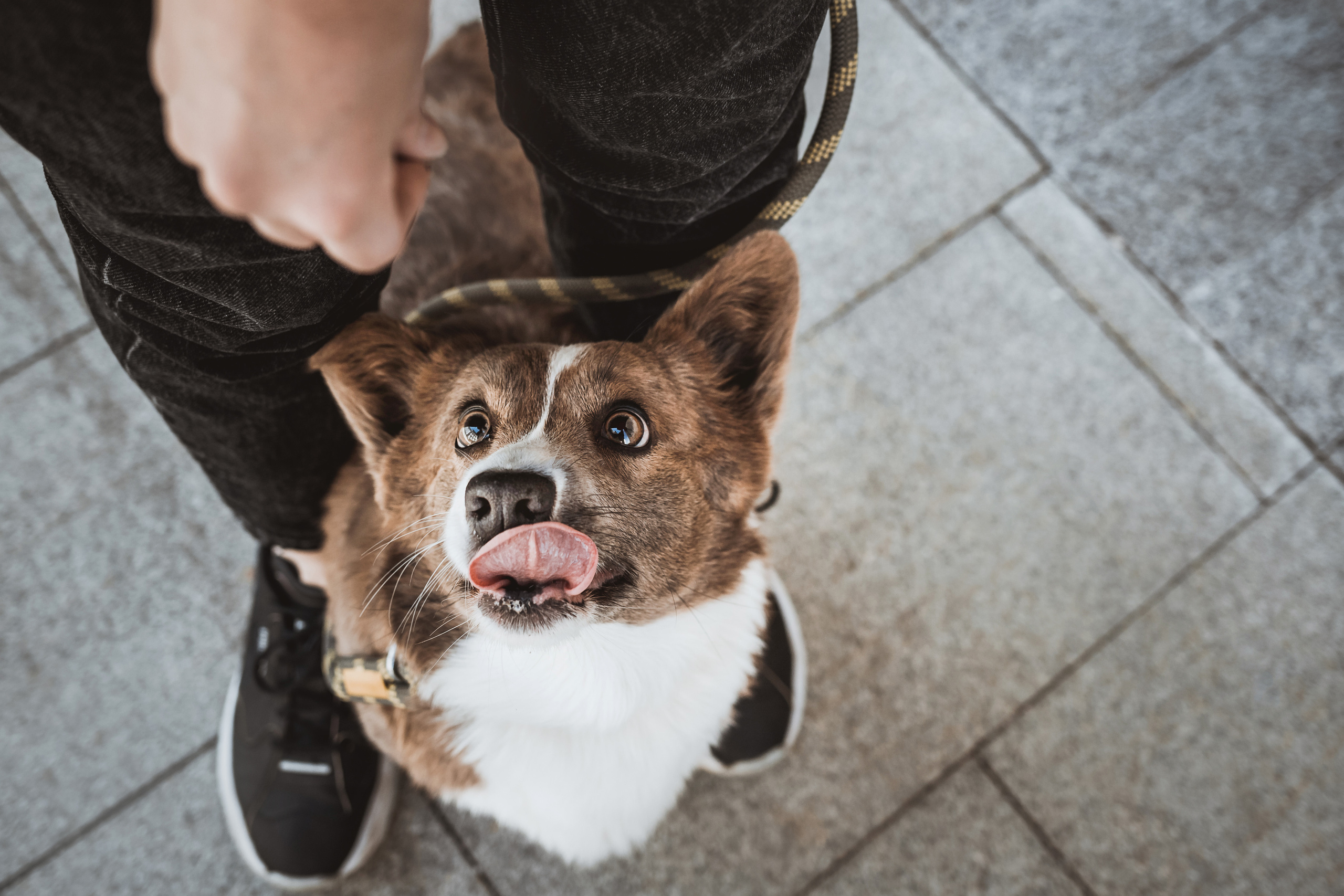 Кристина и Лулуди