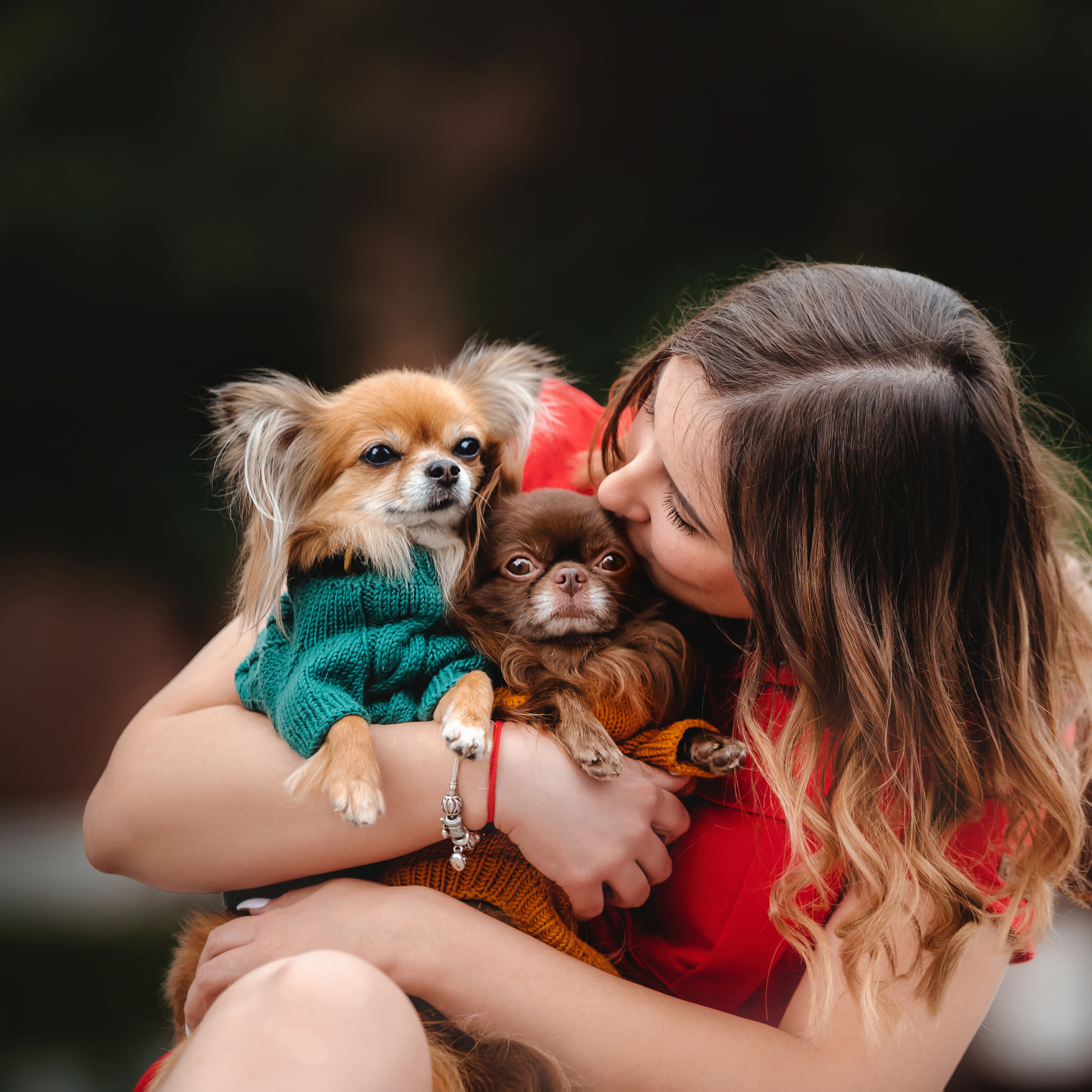 Фотосессия с чихуахуа в центре Москвы