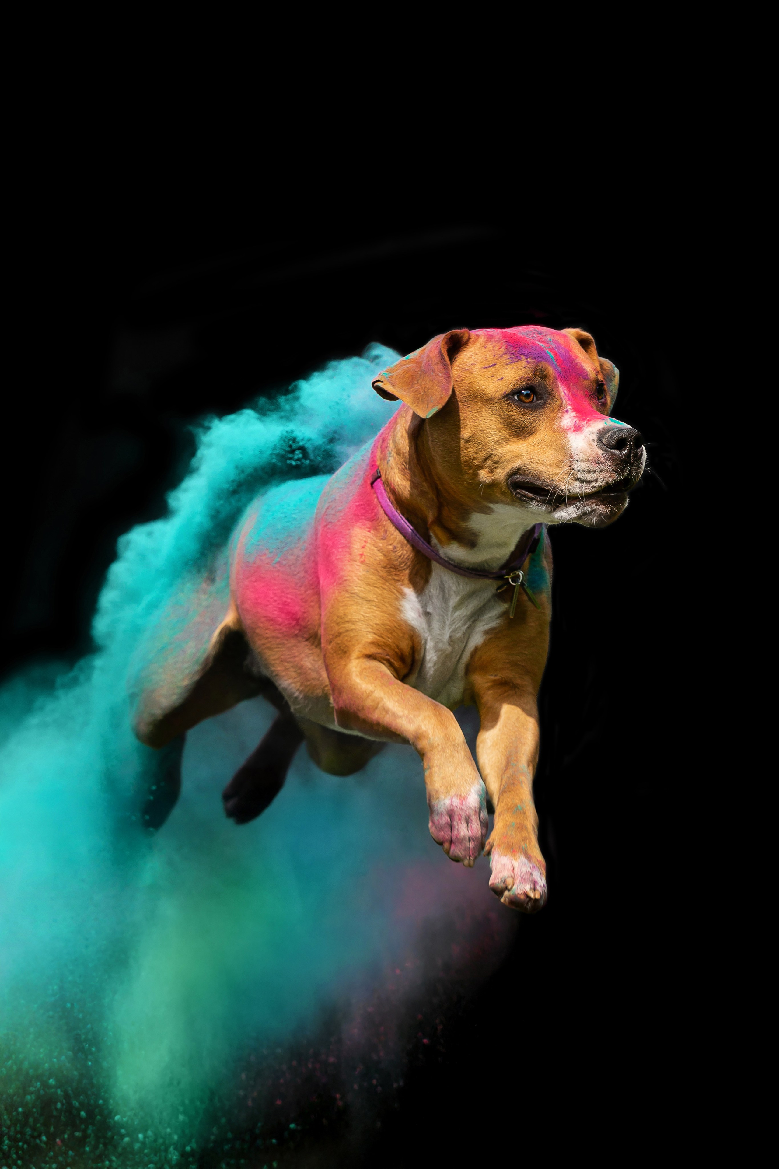 Батлер и Кэти