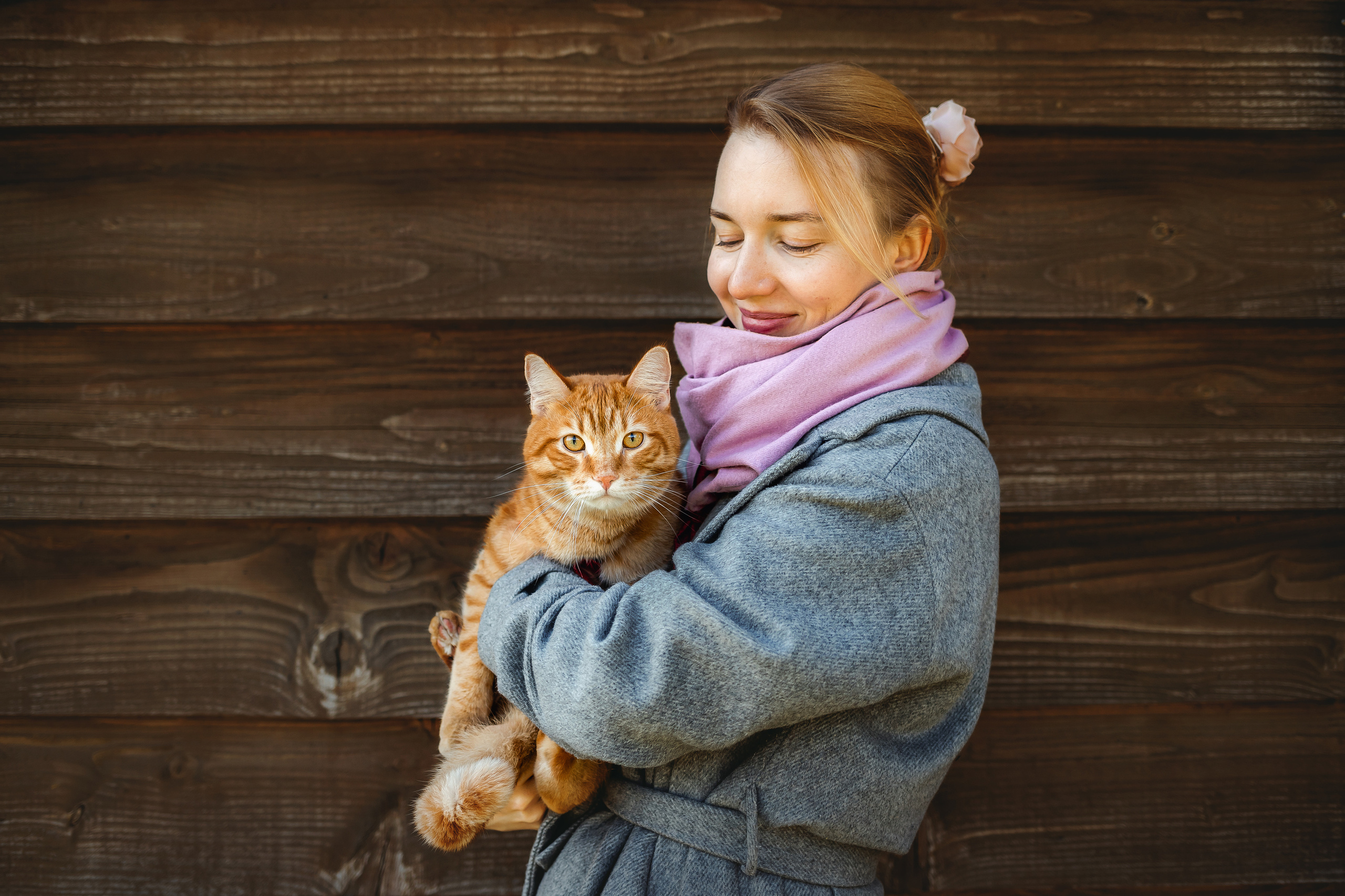 Фотосессия с собакой и котом. Ира, йорк Филя и кот Леброн