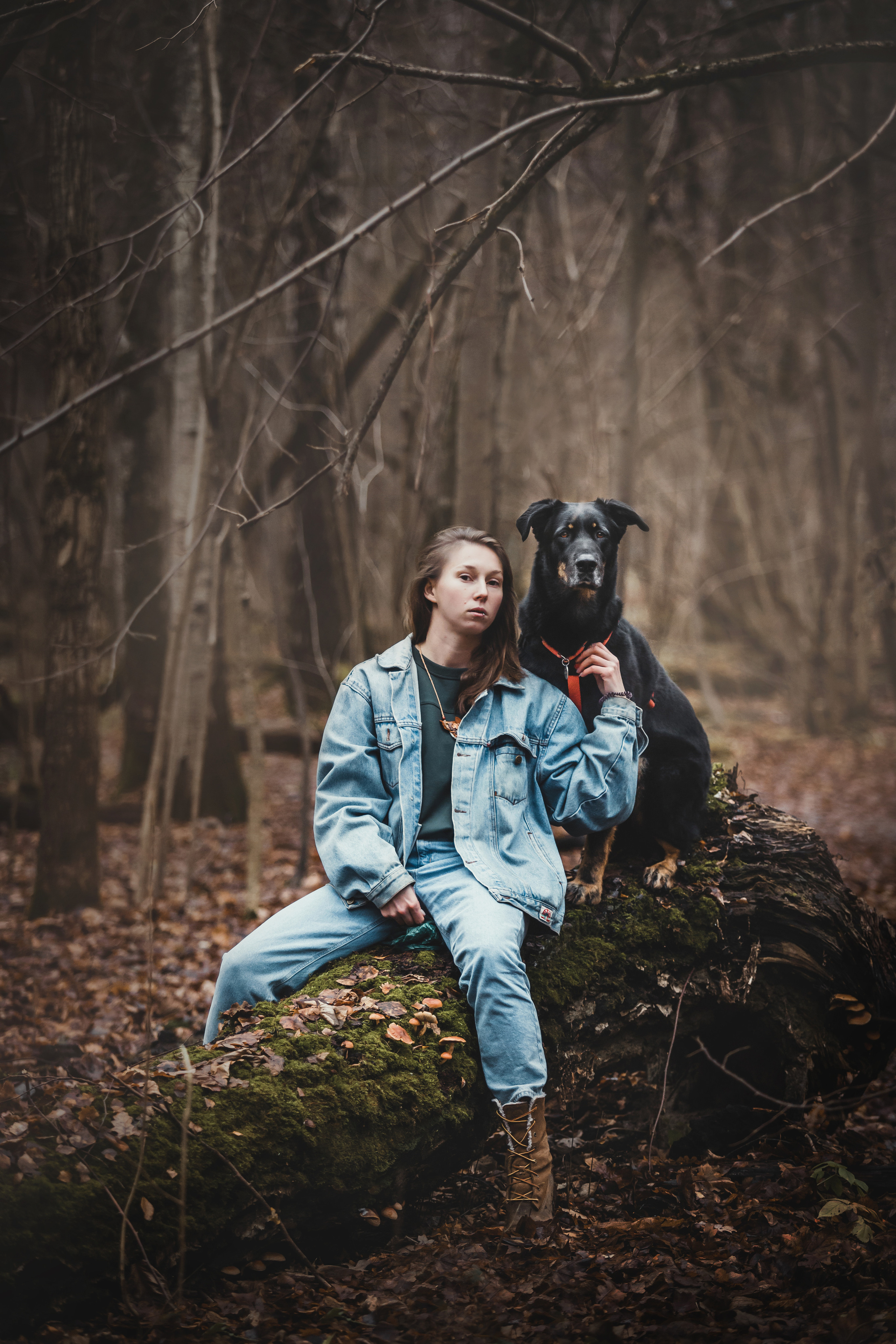 Фотосессия с собакой Фелик