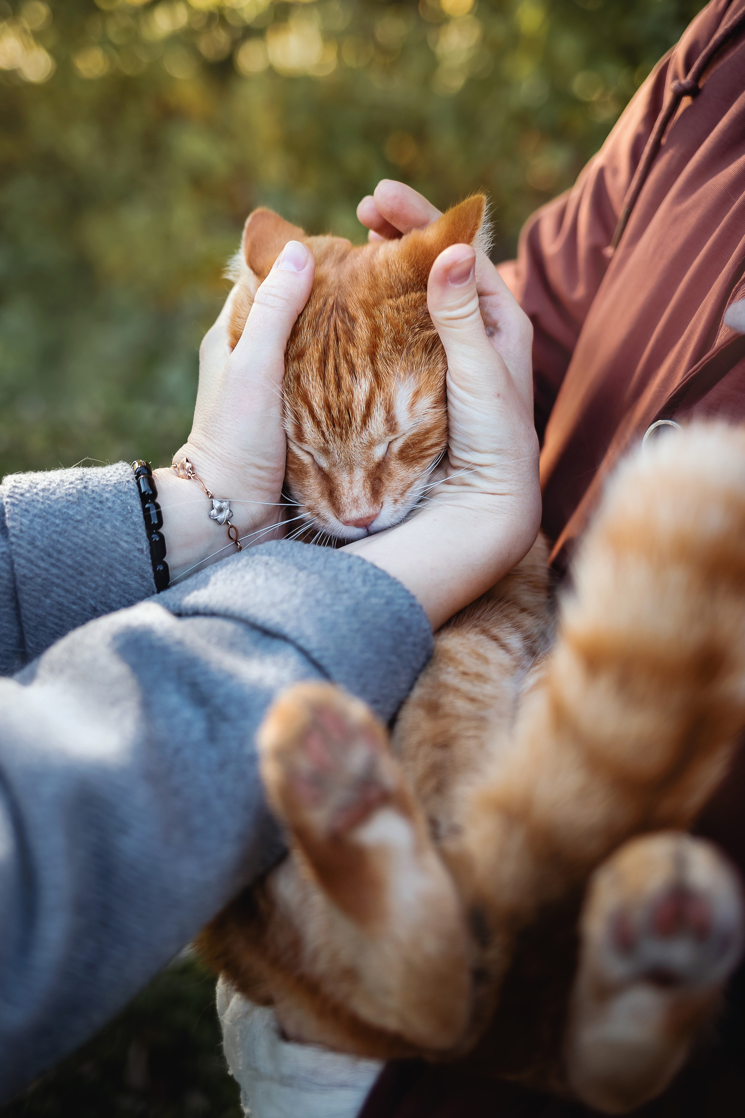 Фотосессия с собакой и котом. Ира, йорк Филя и кот Леброн