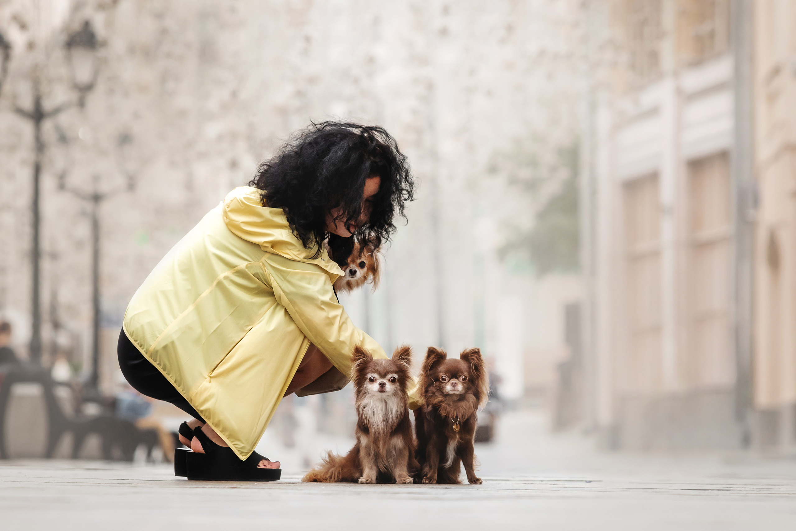 Фотосессия с чихуахуа в центре Москвы