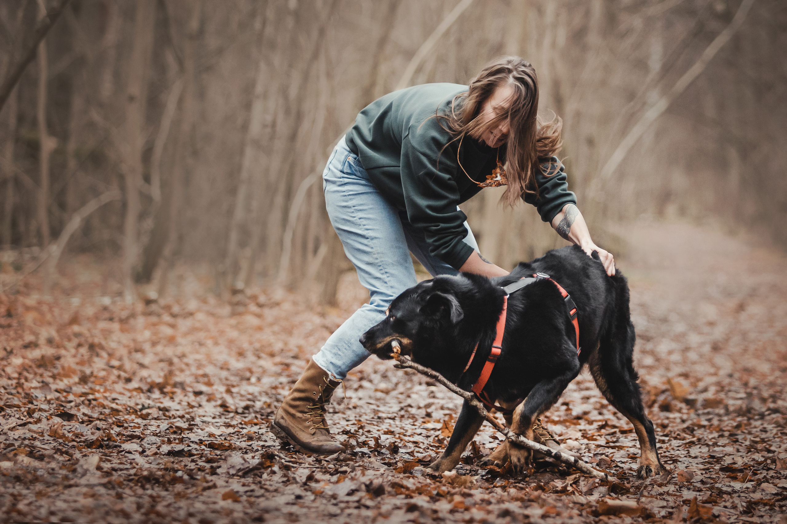 Фотосессия с собакой Фелик