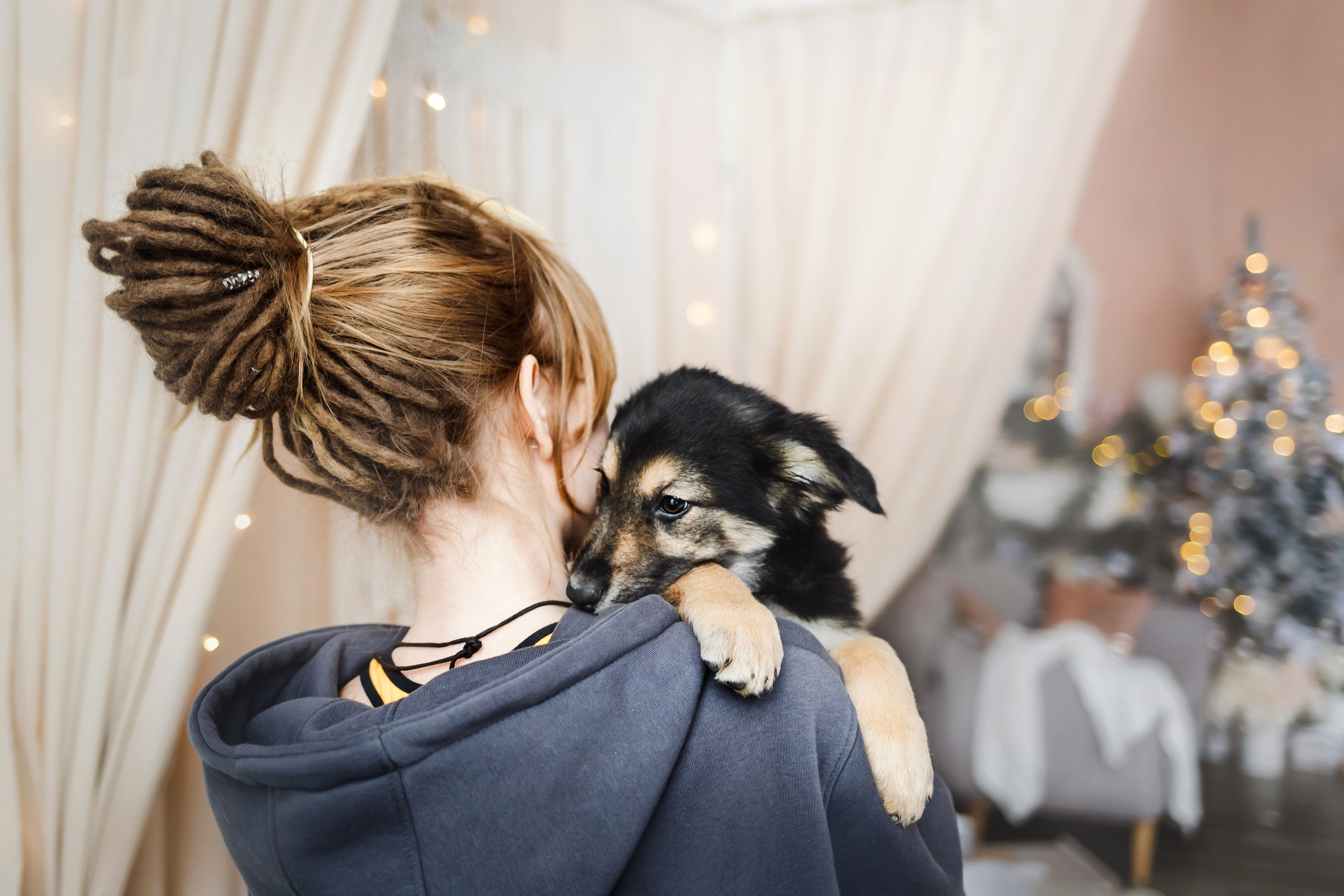 Фотосессия щенков Сатин и Нильс в студии