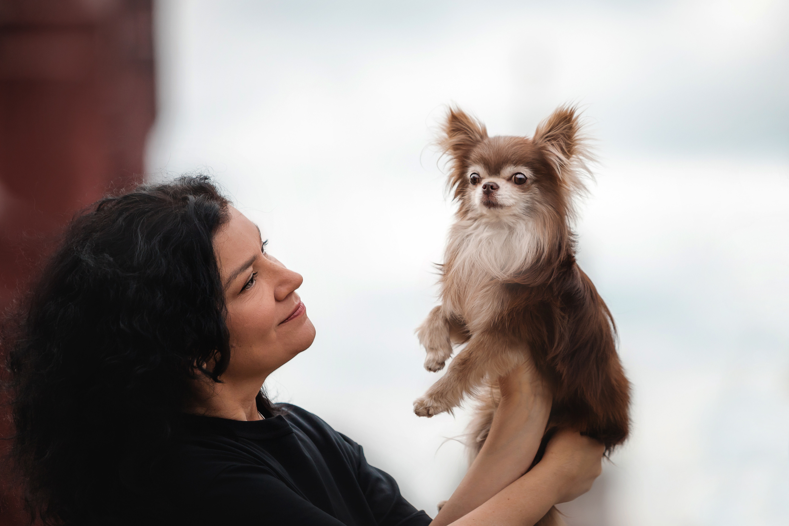 Фотосессия с чихуахуа в центре Москвы