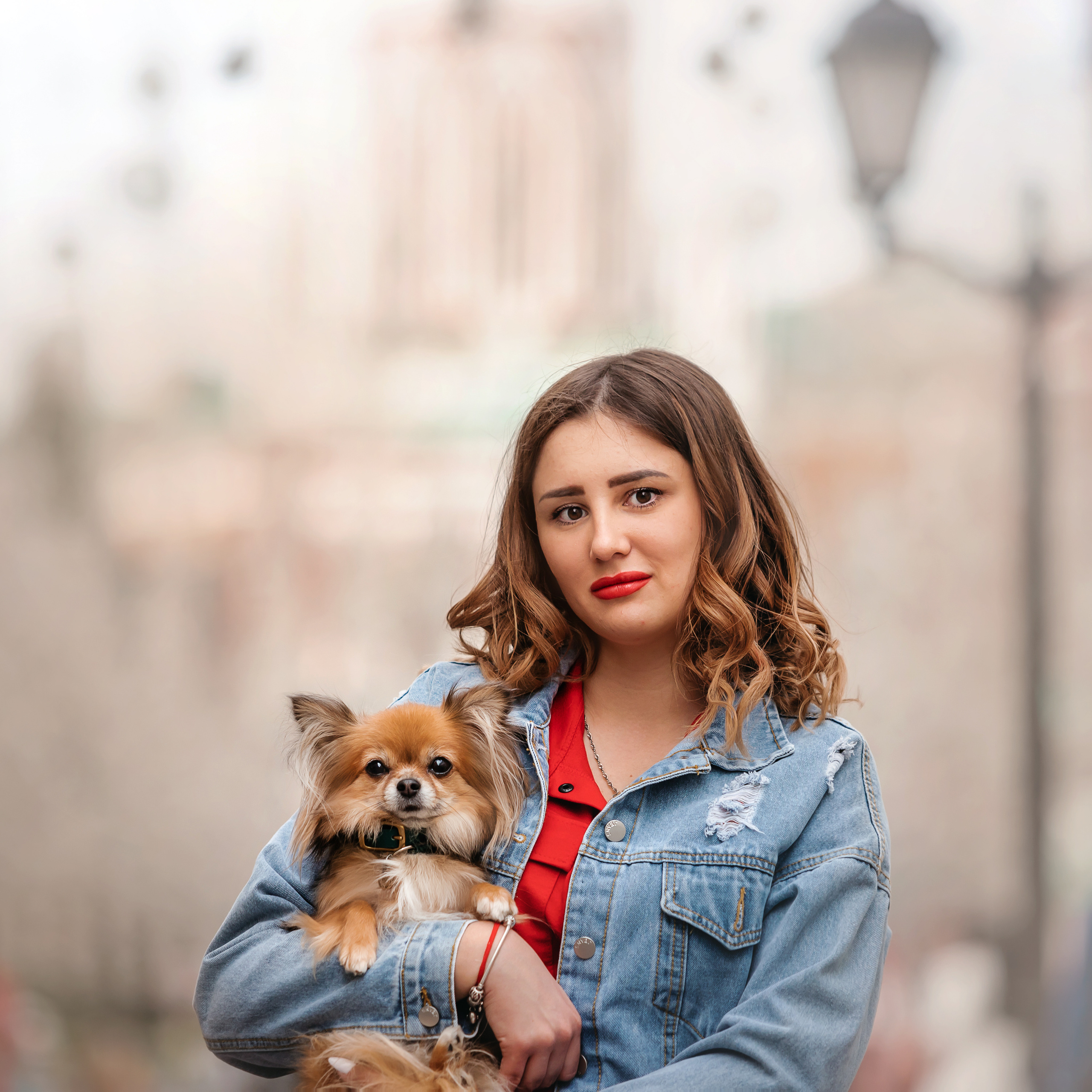 Фотосессия с чихуахуа в центре Москвы