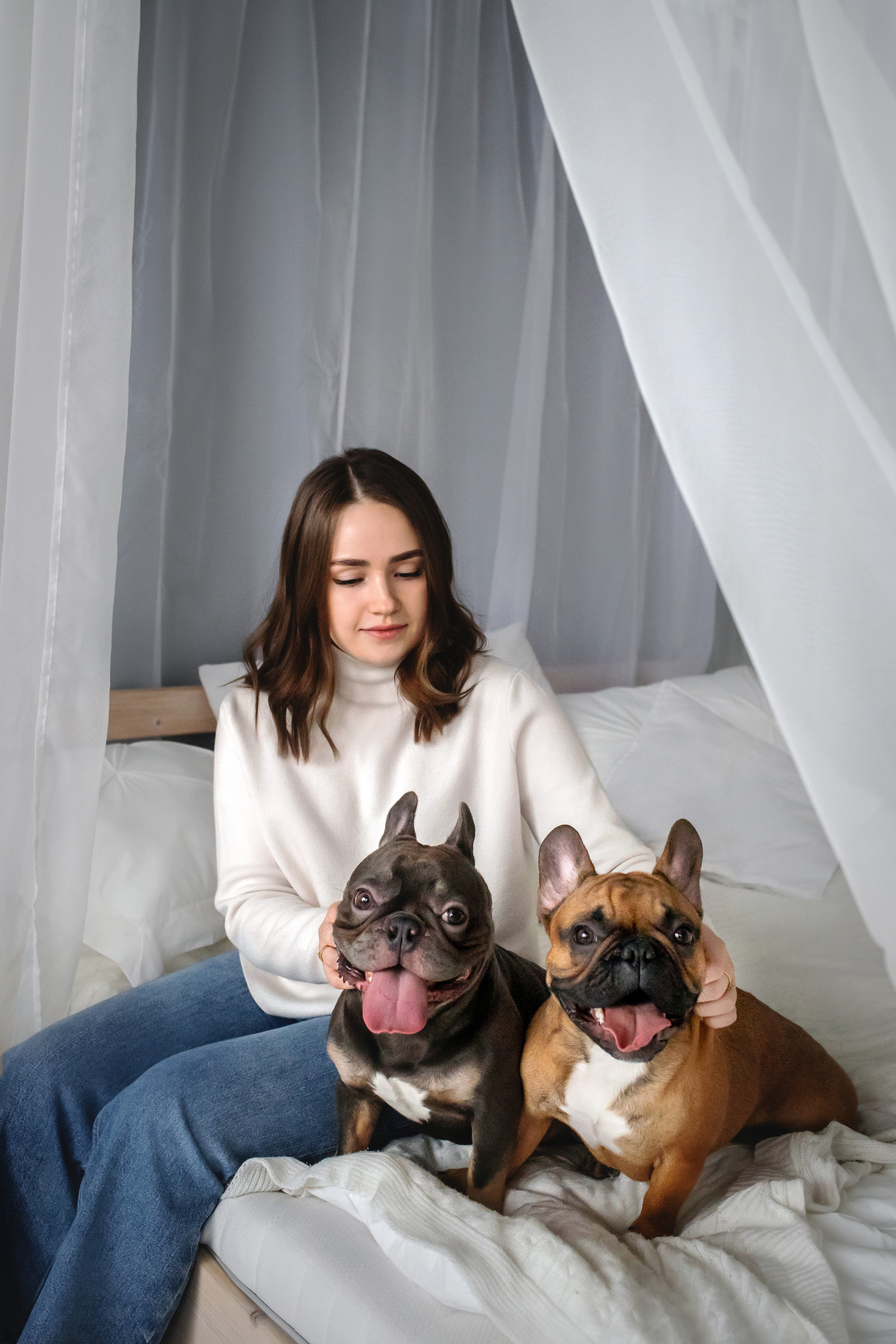 Фотосессия бульдогов Лео и Марса в догфрендли студии