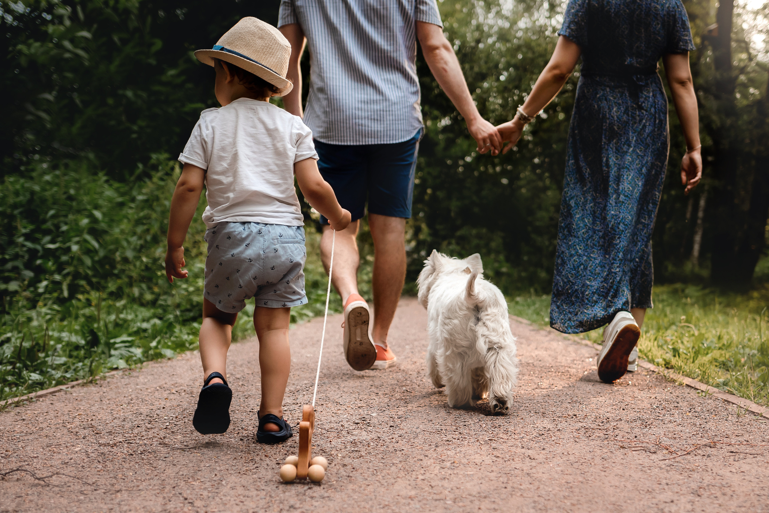 Перся и его семья в Ботаническом лесу