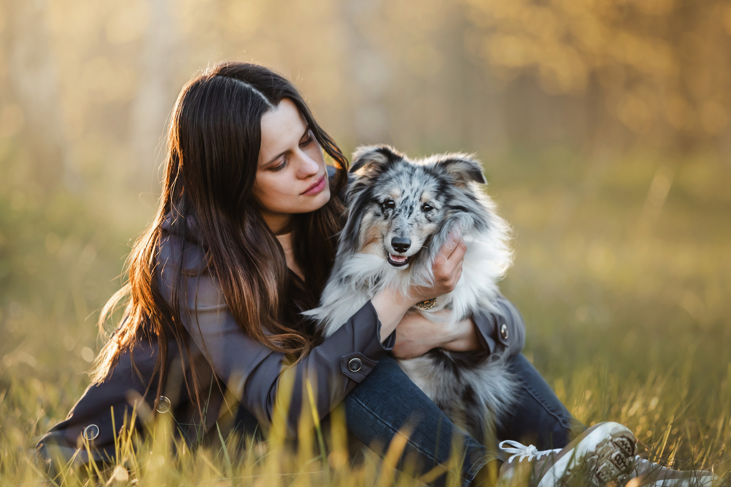 Фотосессия с шелти Скаем