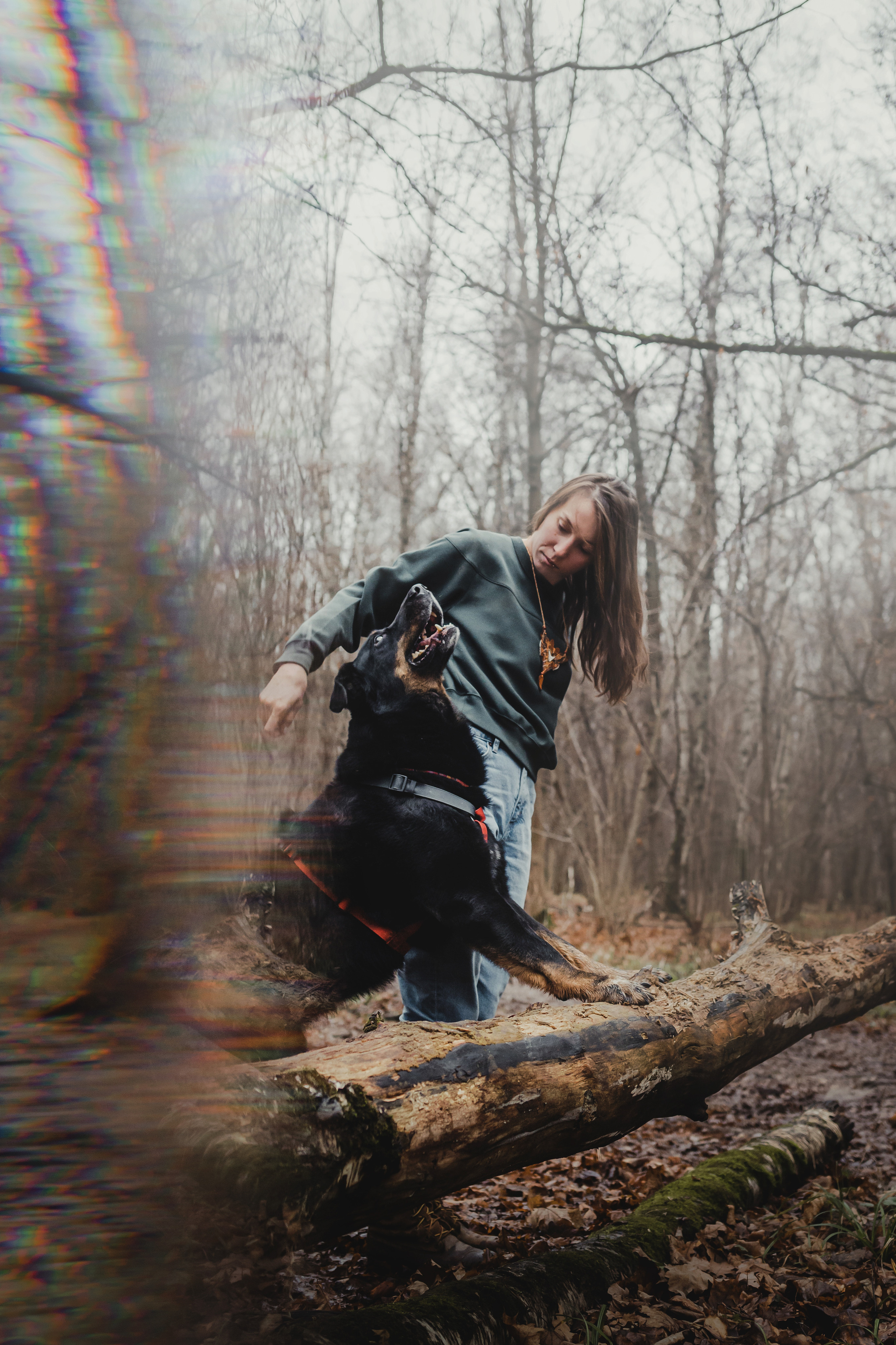 Фотосессия с собакой Фелик