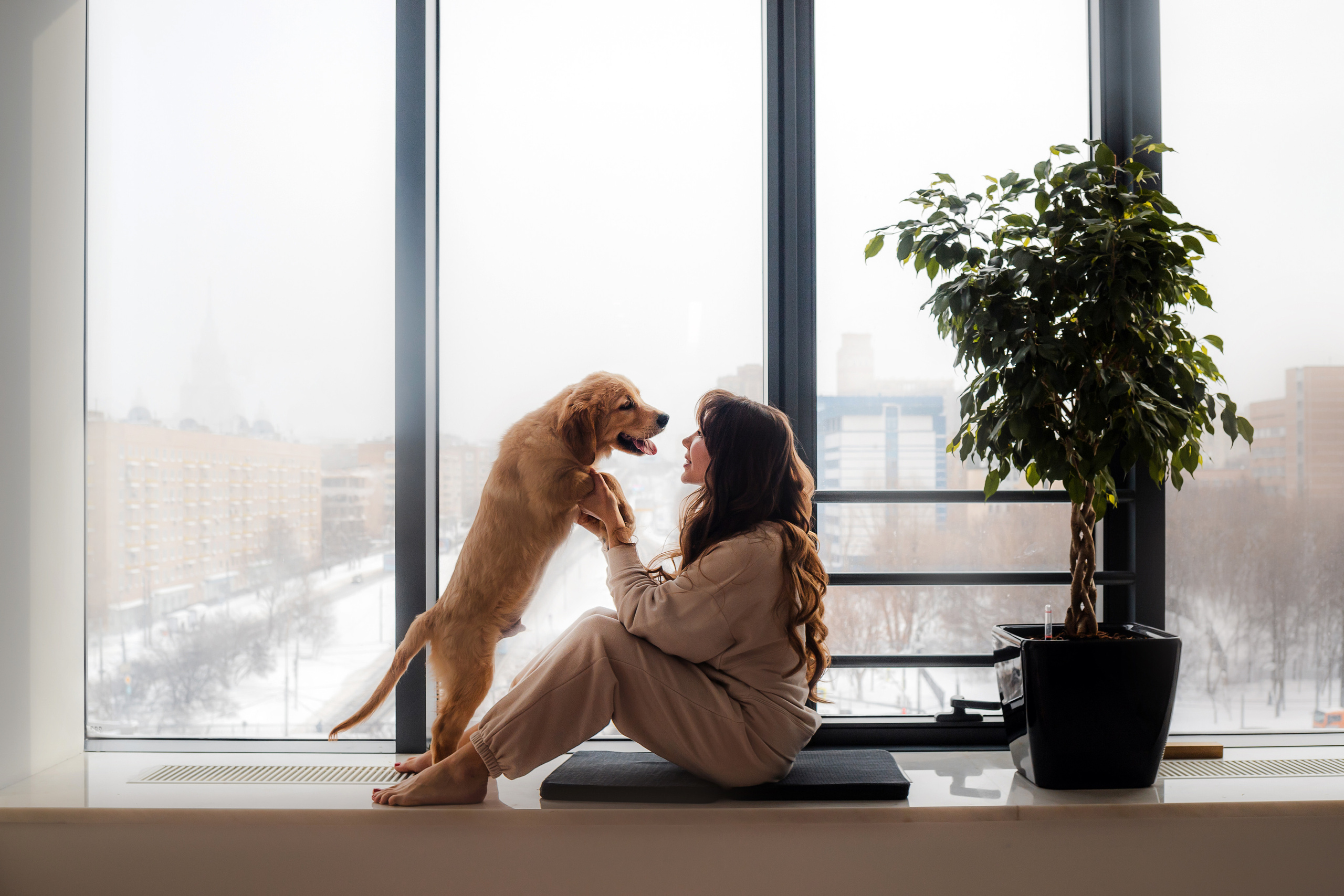 фотосессия с щенком