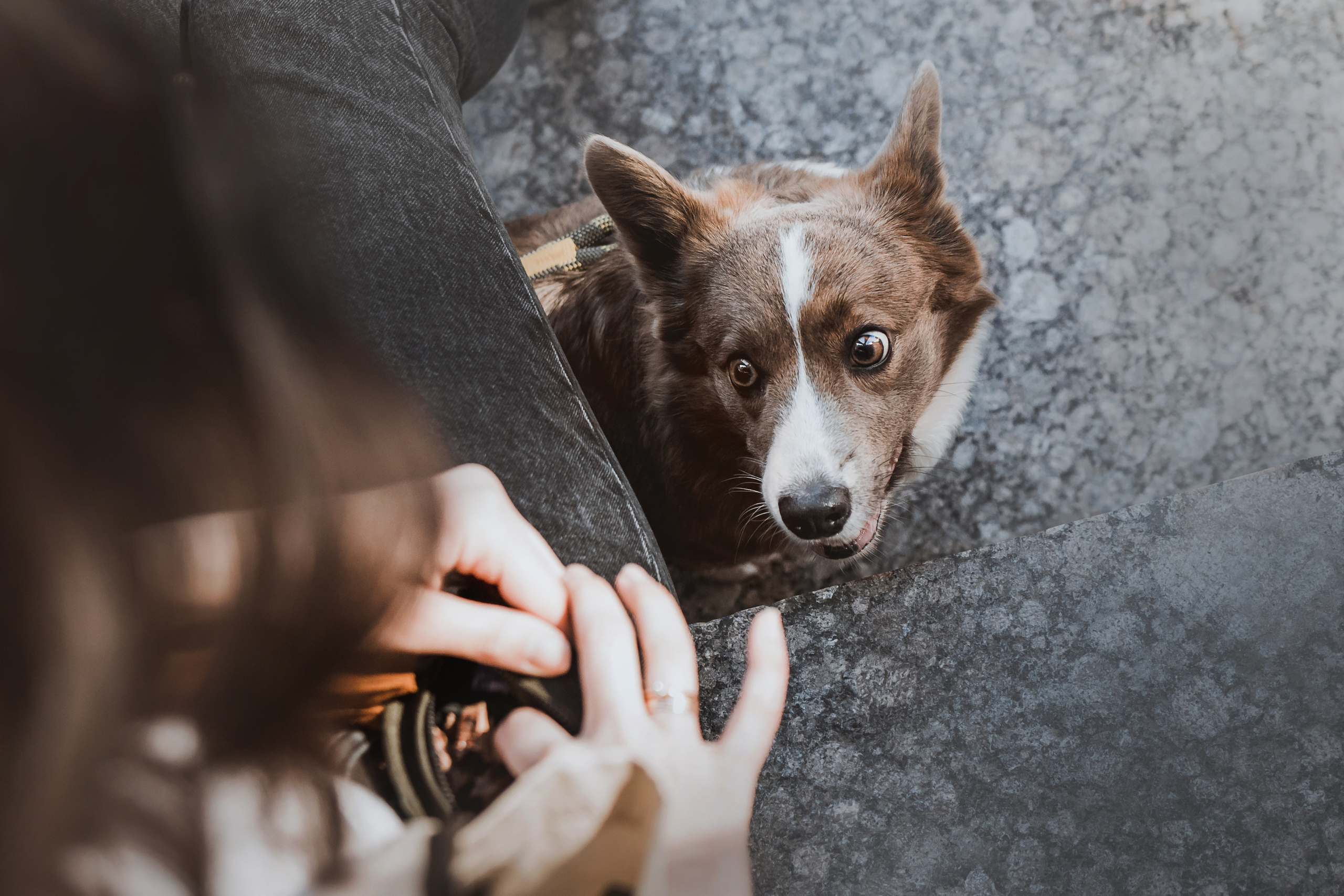 Кристина и Лулуди