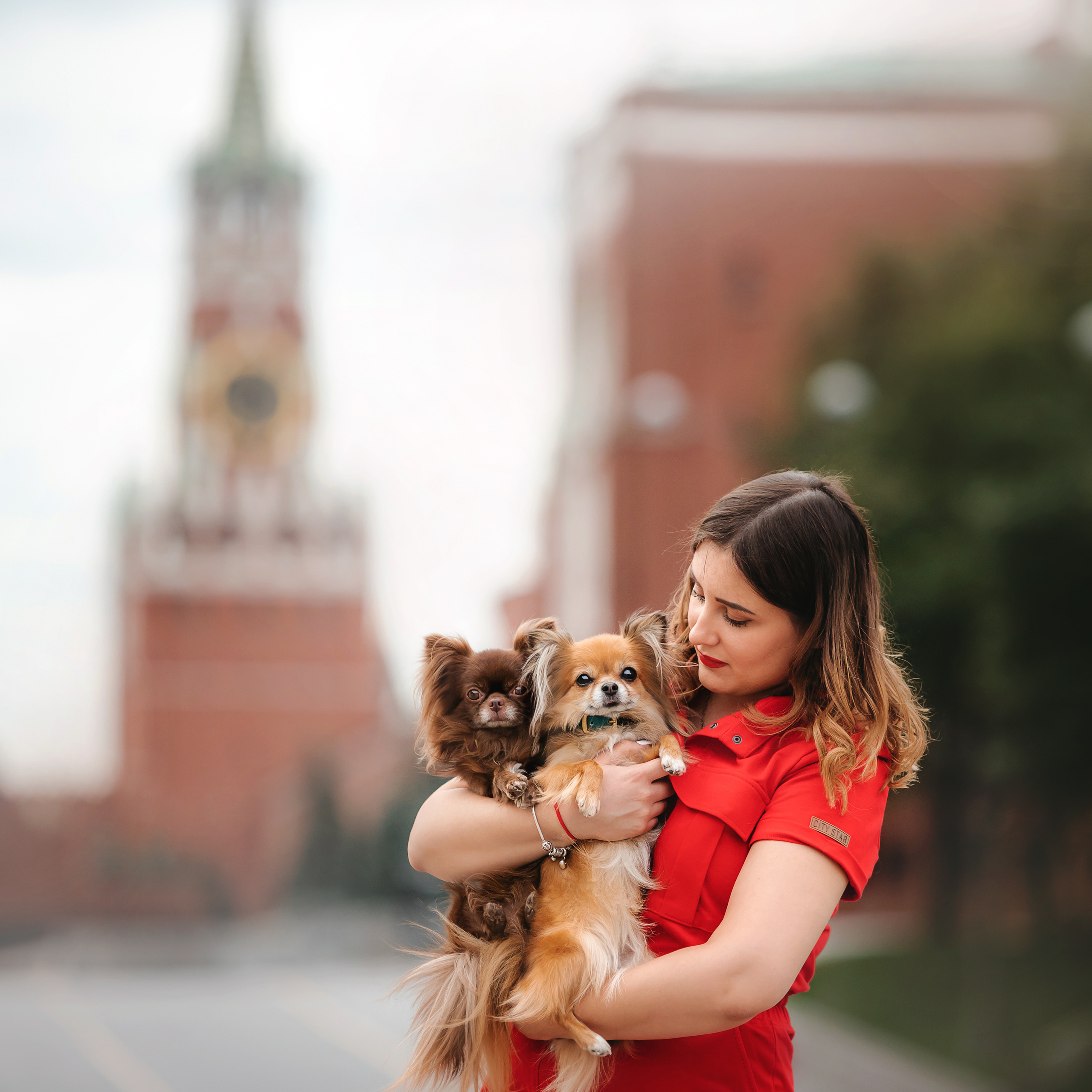 Фотосессия с чихуахуа в центре Москвы