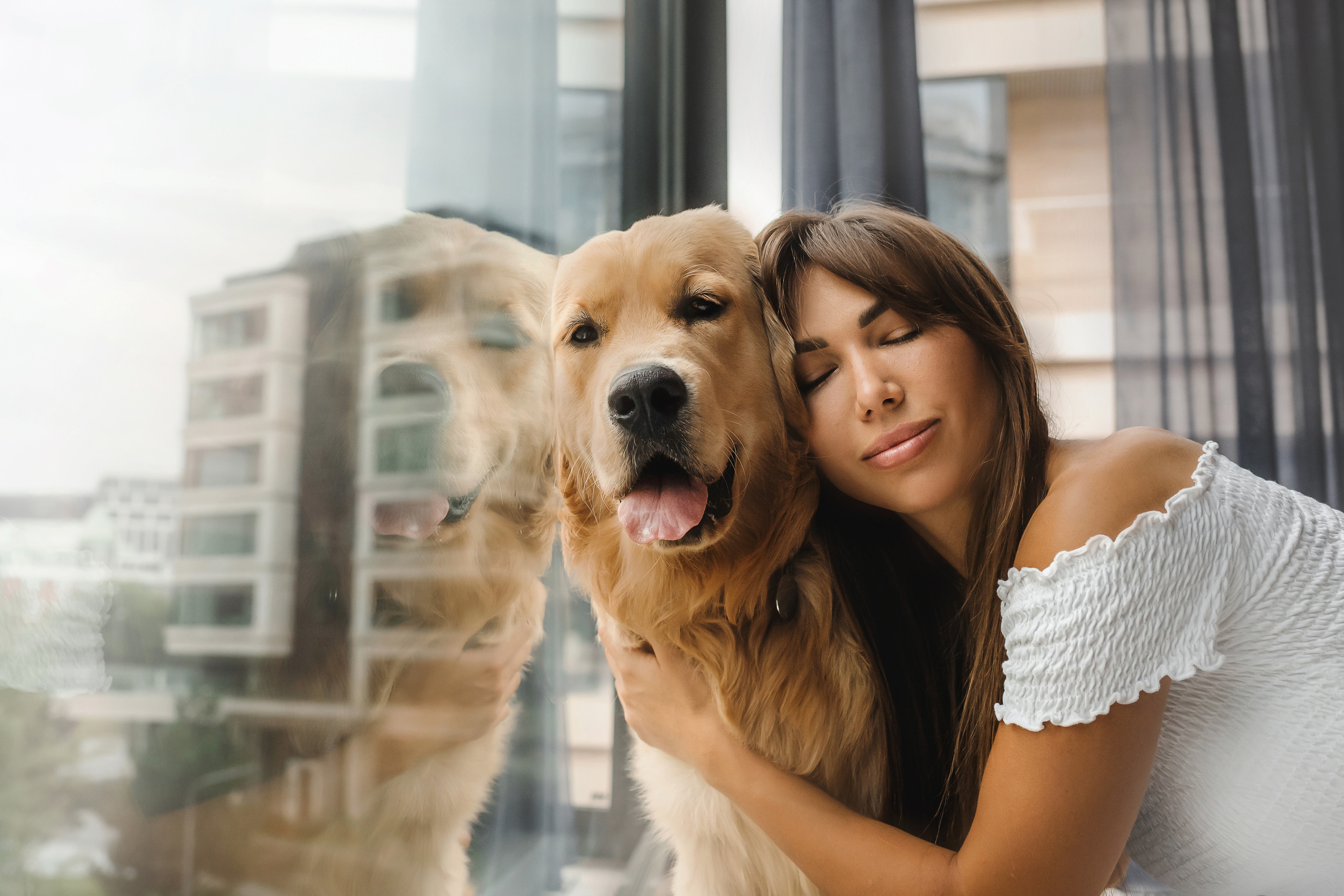 Фотосессия с щенком золотистого ретривера