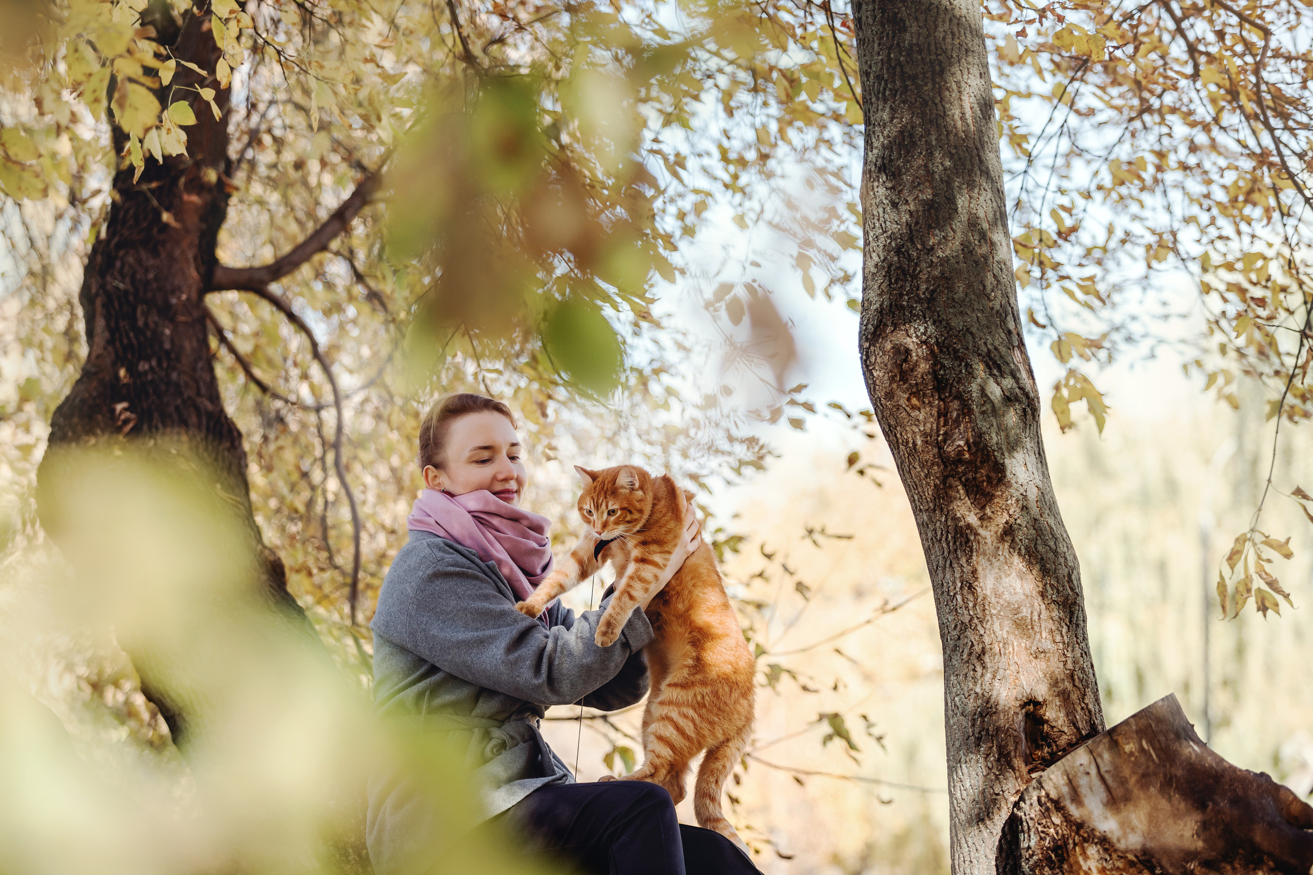 Фотосессия с собакой и котом. Ира, йорк Филя и кот Леброн