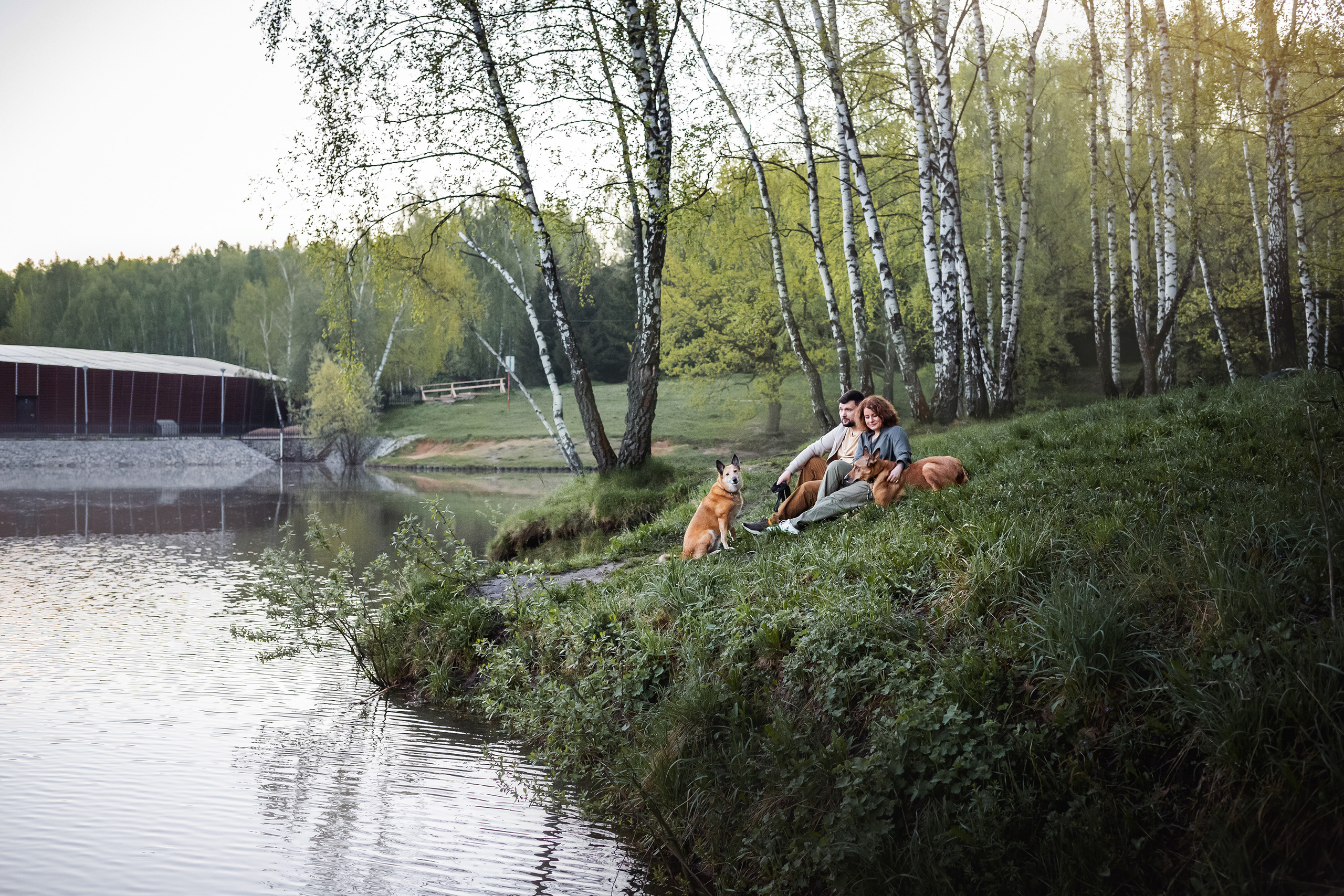 Фотосессия на рассвете собаки Росси, Саввы и их семьи
