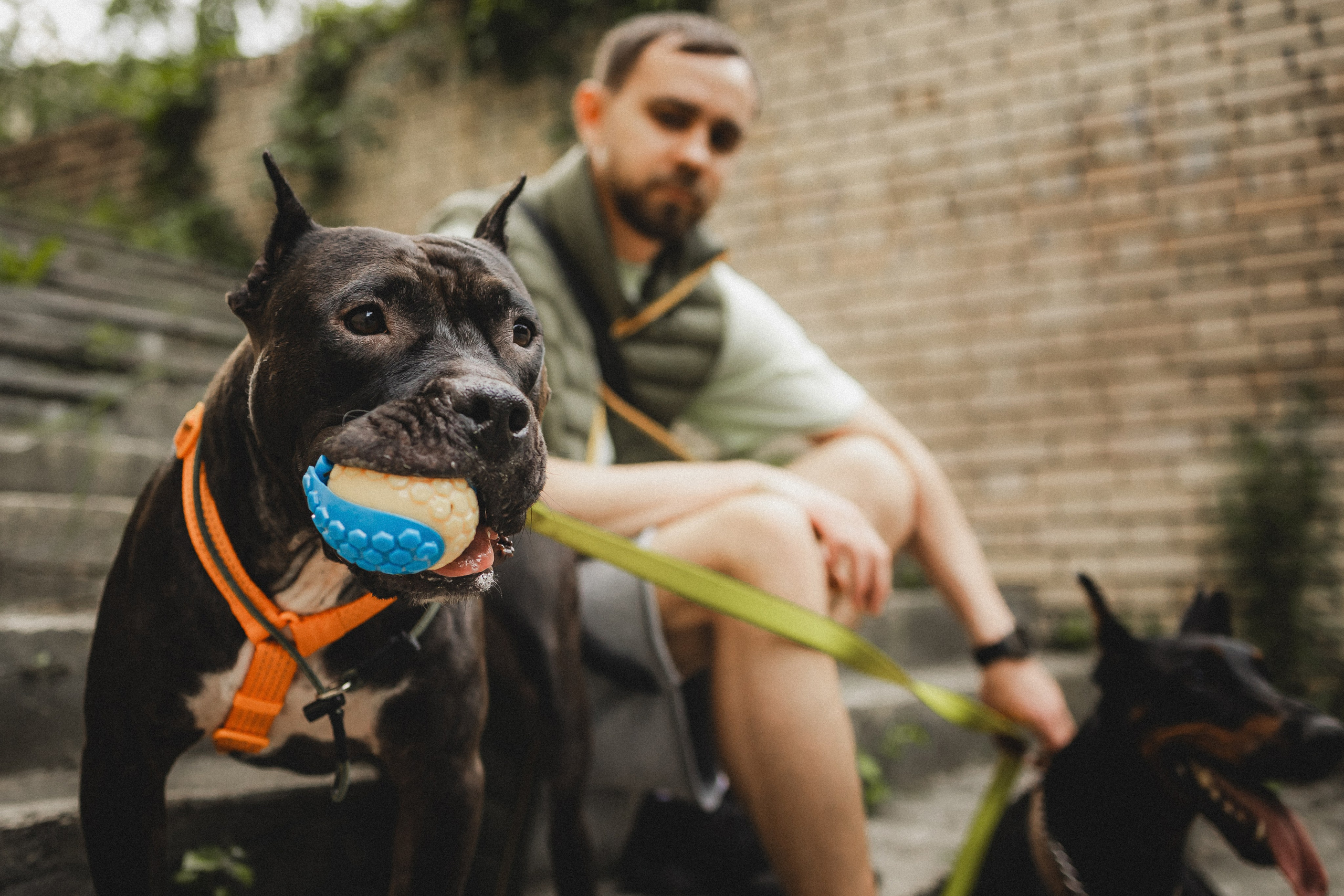 Паша, Хайди и Тея