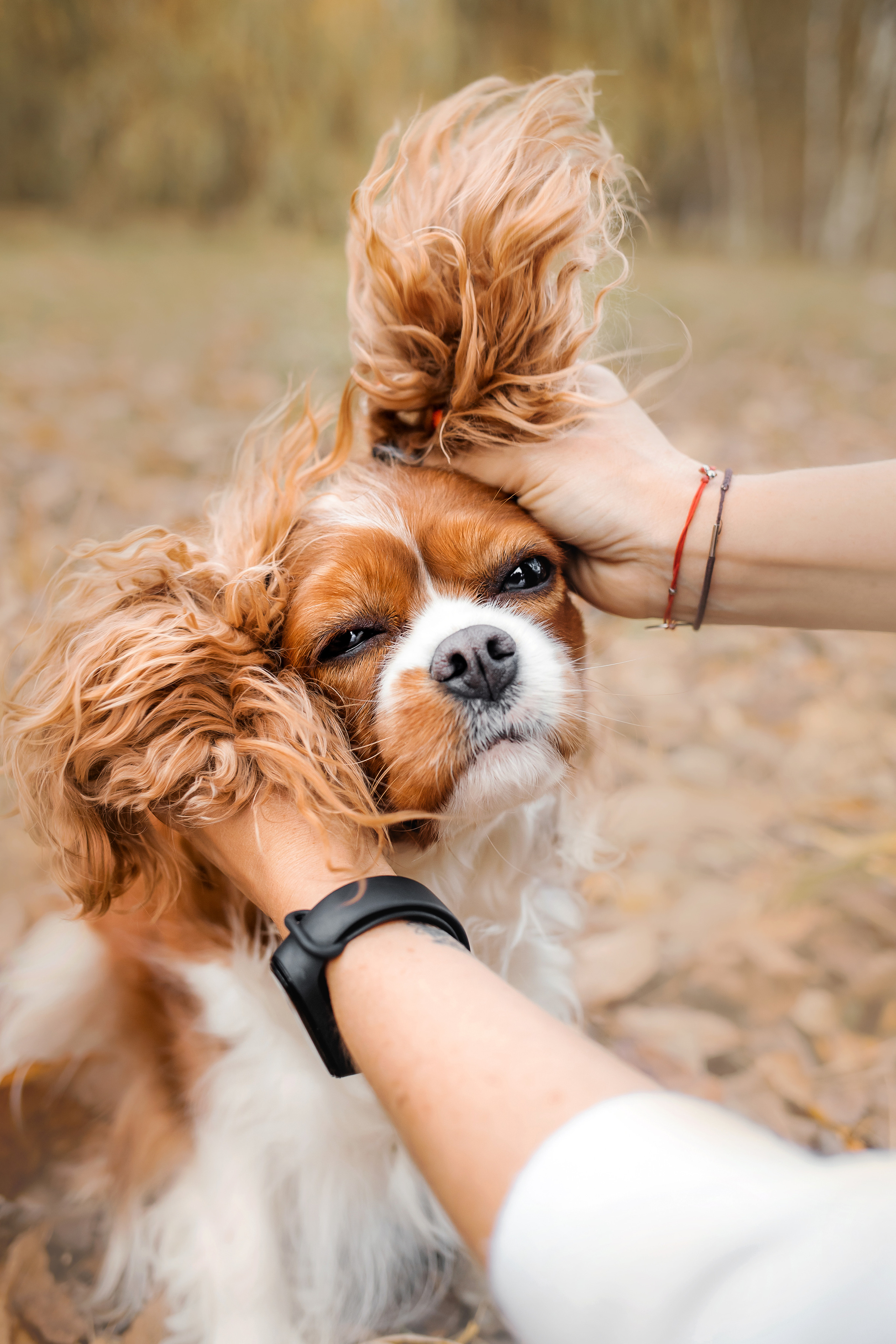 Фотосессия с ребенком и собакой