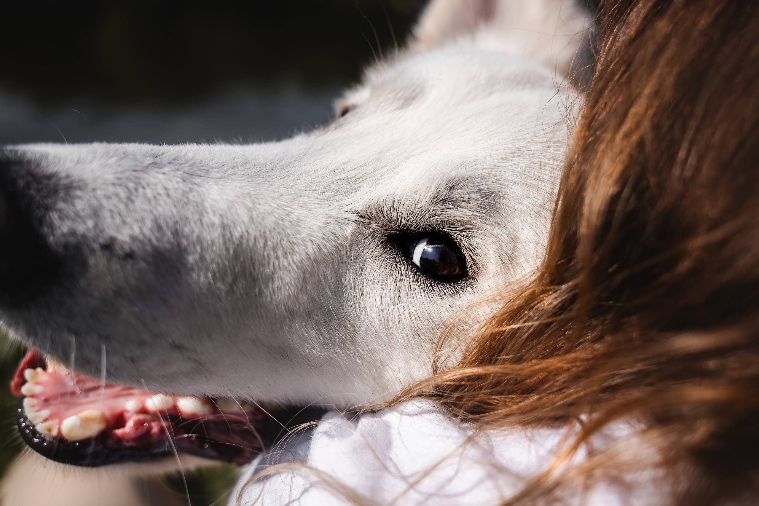 Фотосессия Светы, Юли и Олафа