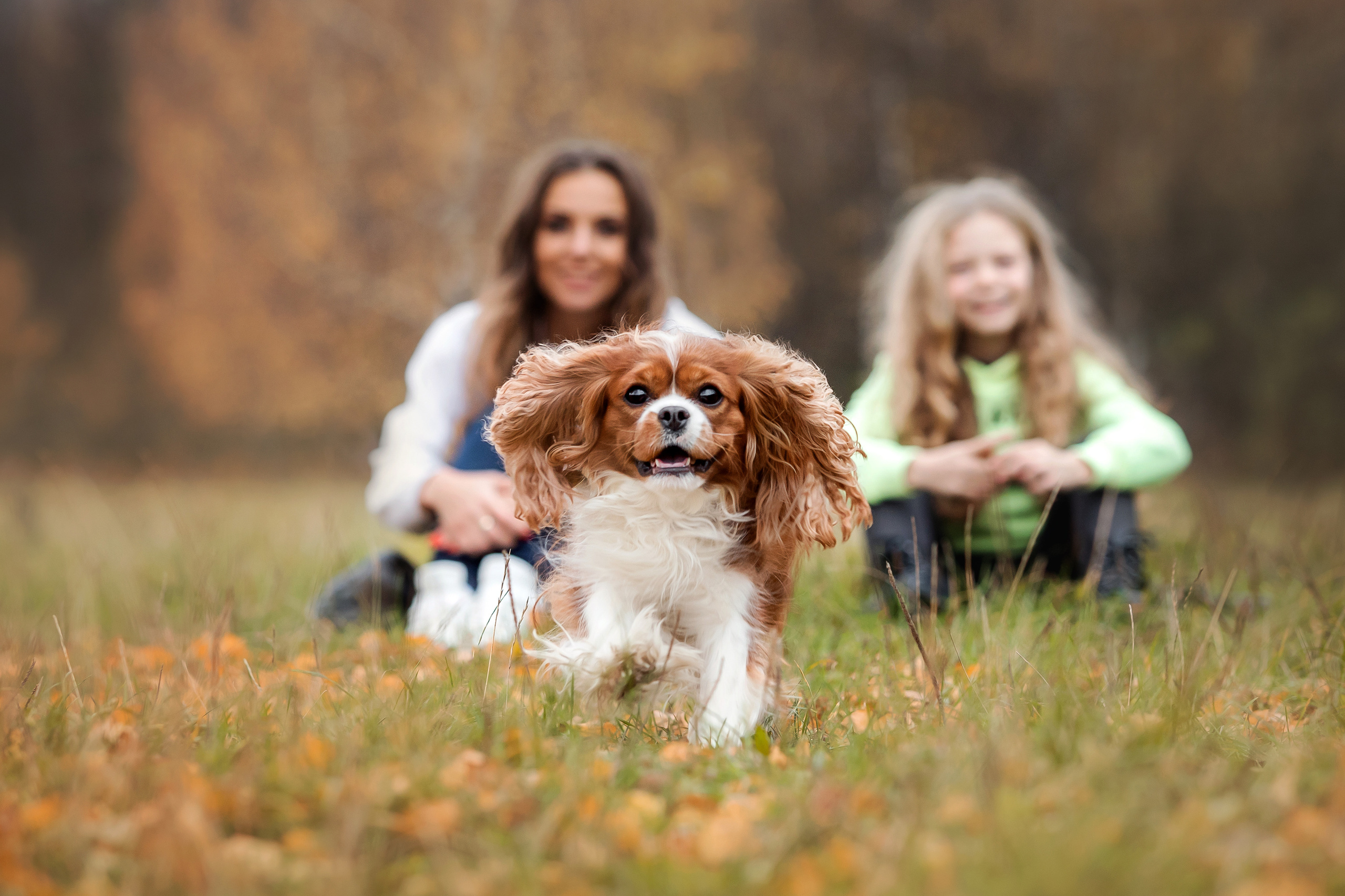 Фотосессия с ребенком и собакой