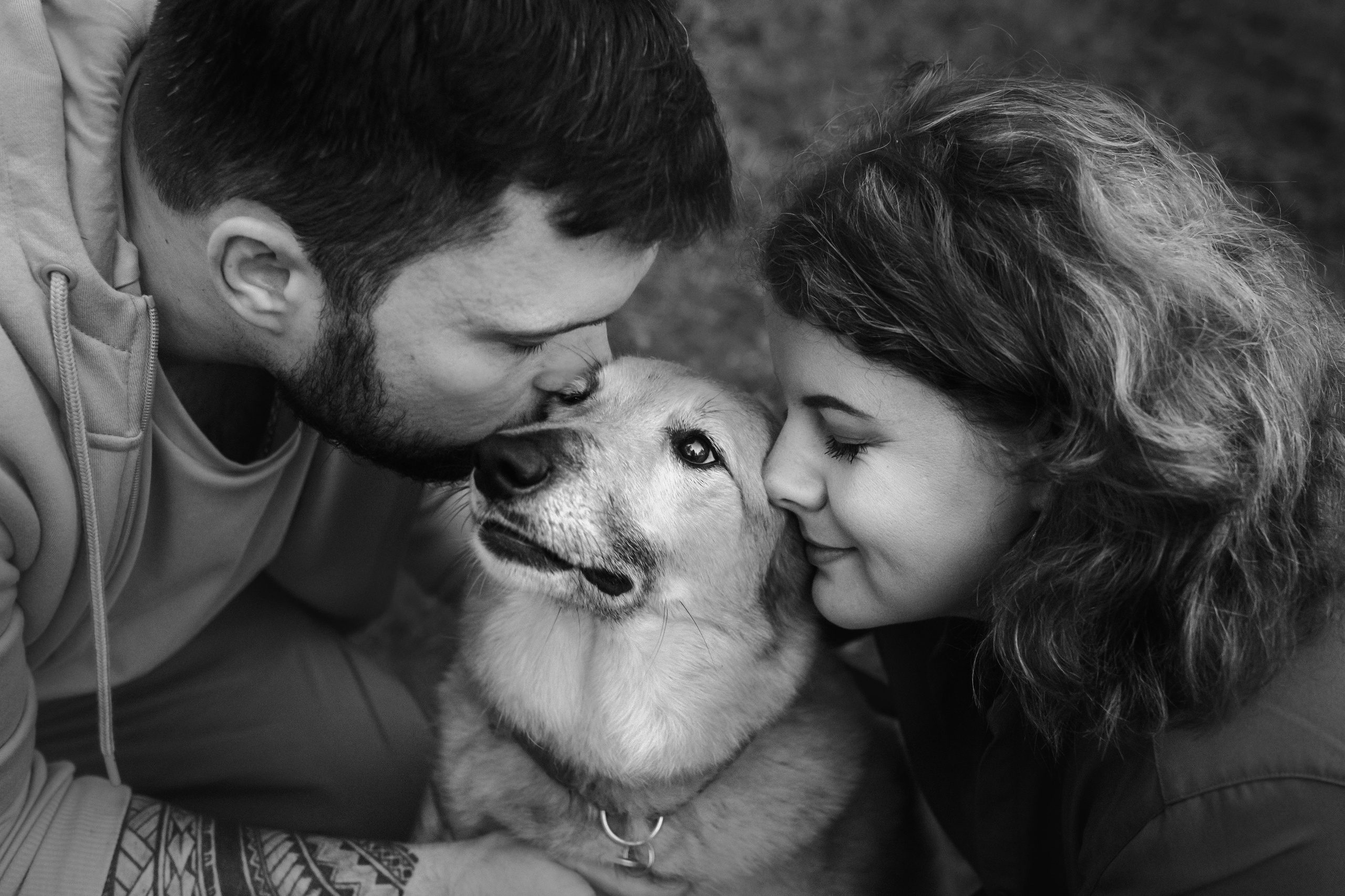 Фотосессия на рассвете собаки Росси, Саввы и их семьи