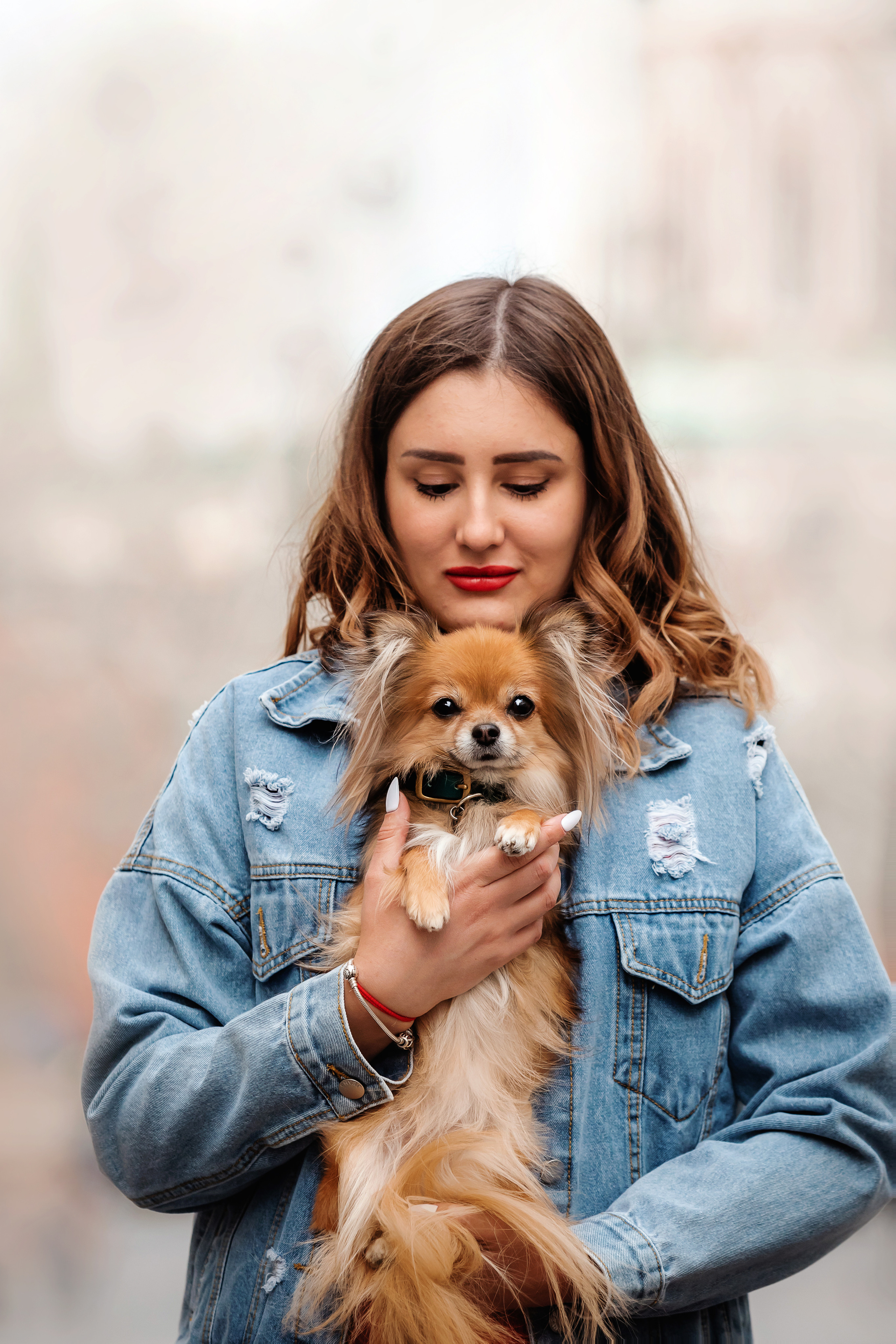 Фотосессия с чихуахуа в центре Москвы