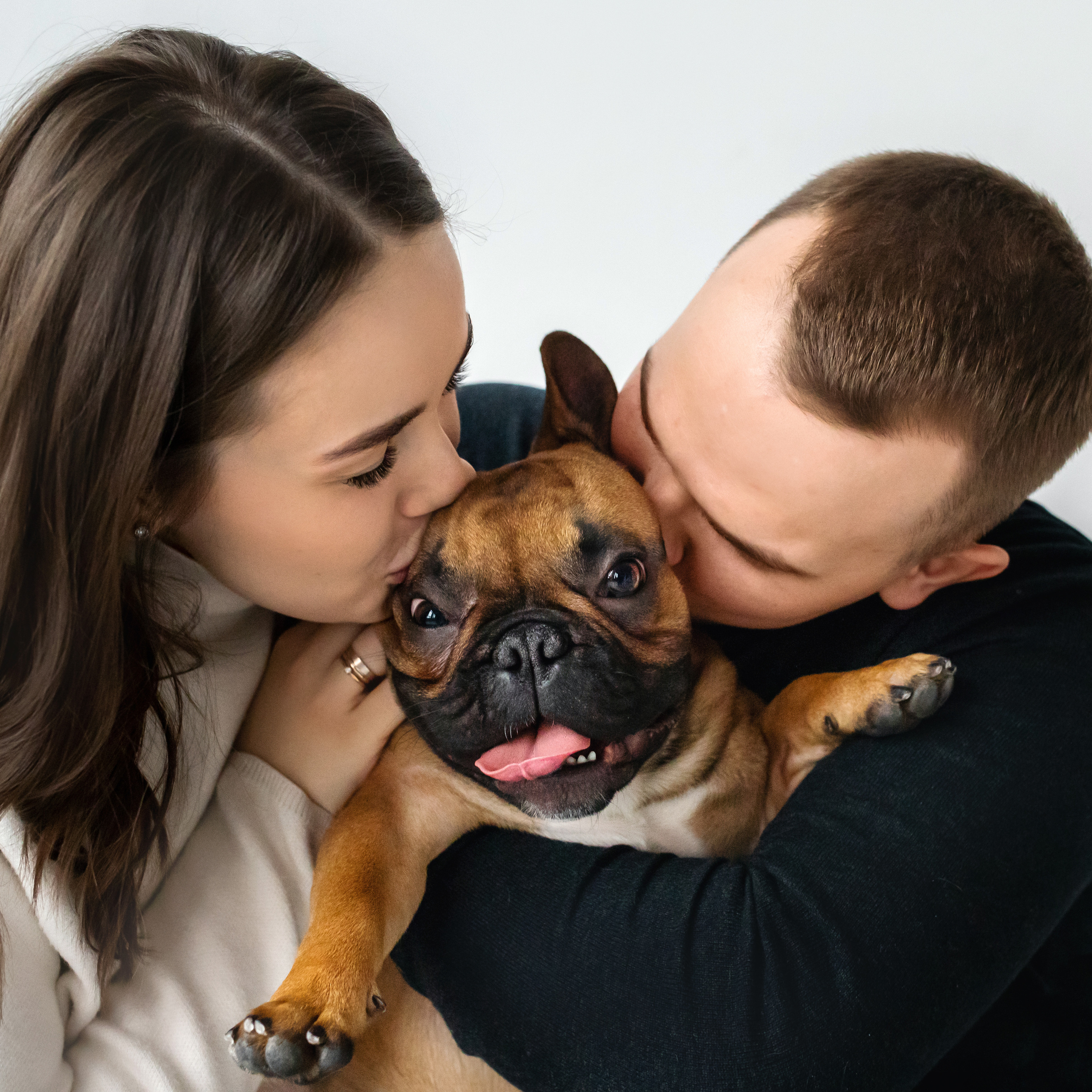 Фотосессия бульдогов Лео и Марса в догфрендли студии