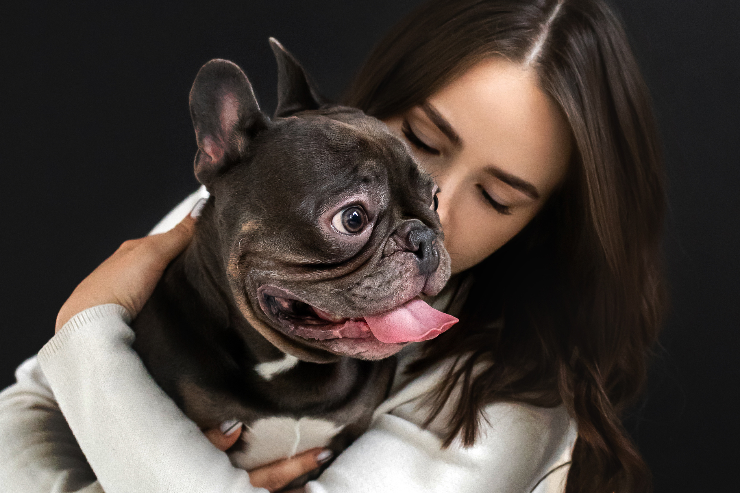 Фотосессия бульдогов Лео и Марса в догфрендли студии