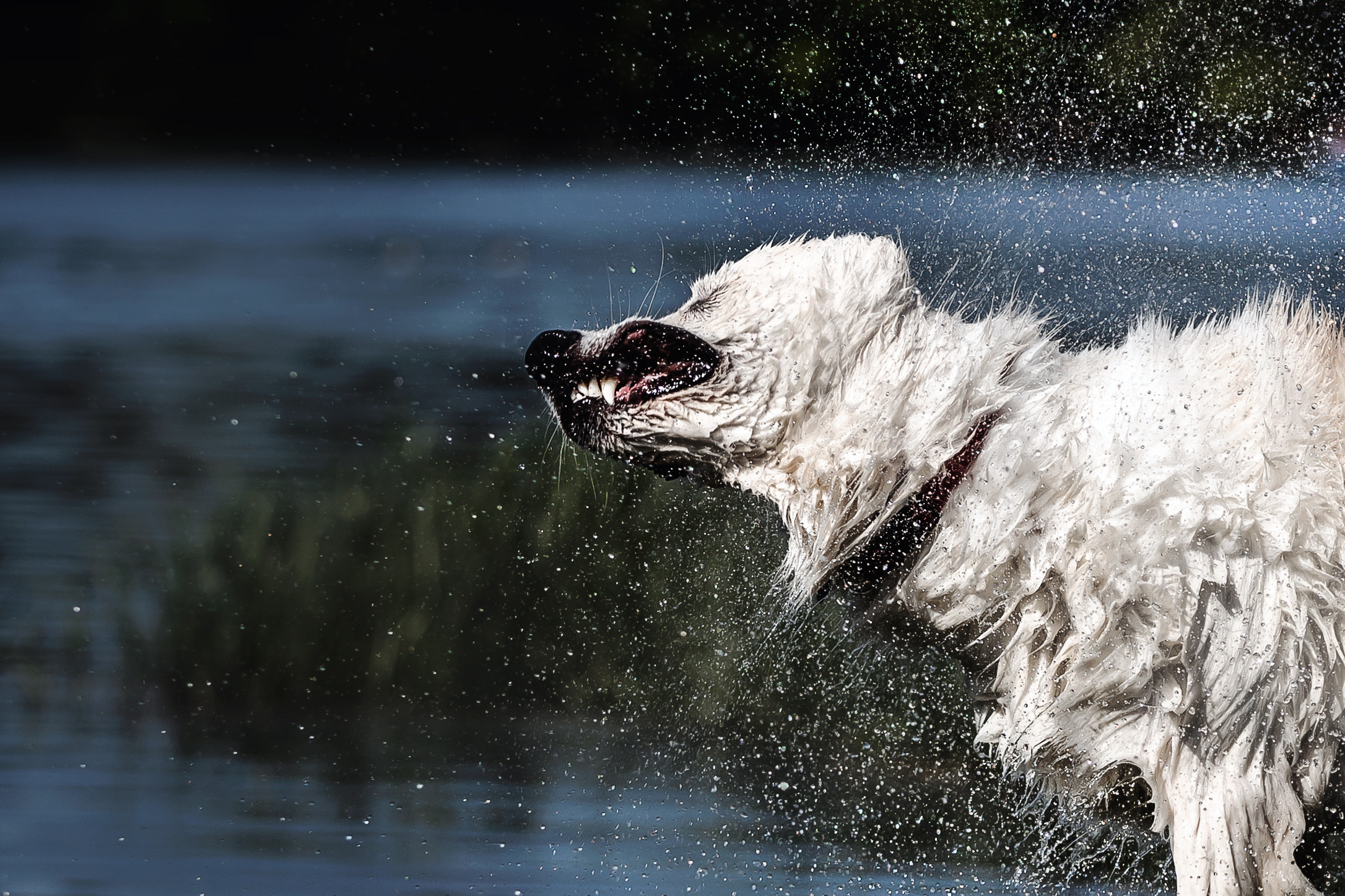 Фотосессия Светы, Юли и Олафа