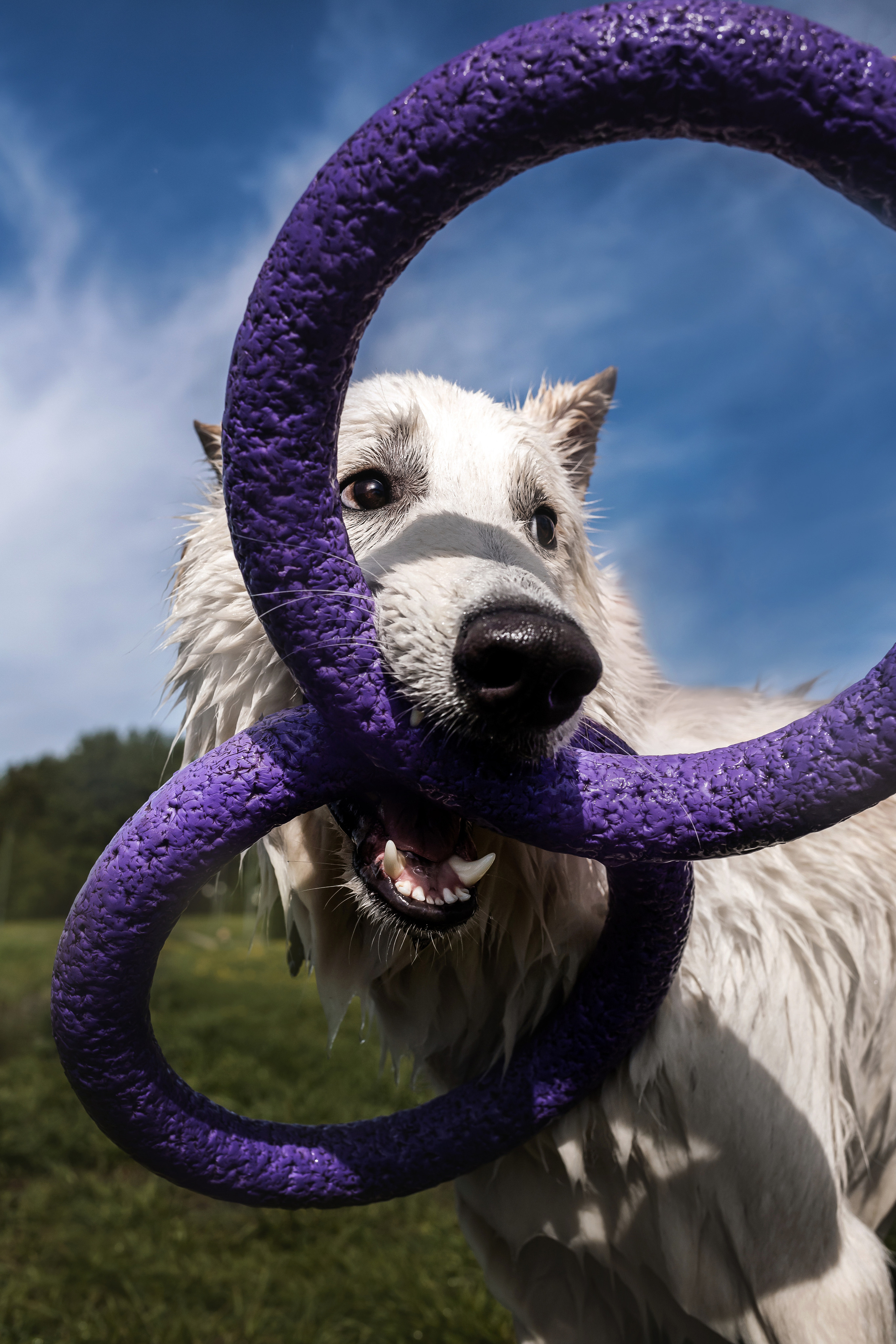 Фотосессия Светы, Юли и Олафа